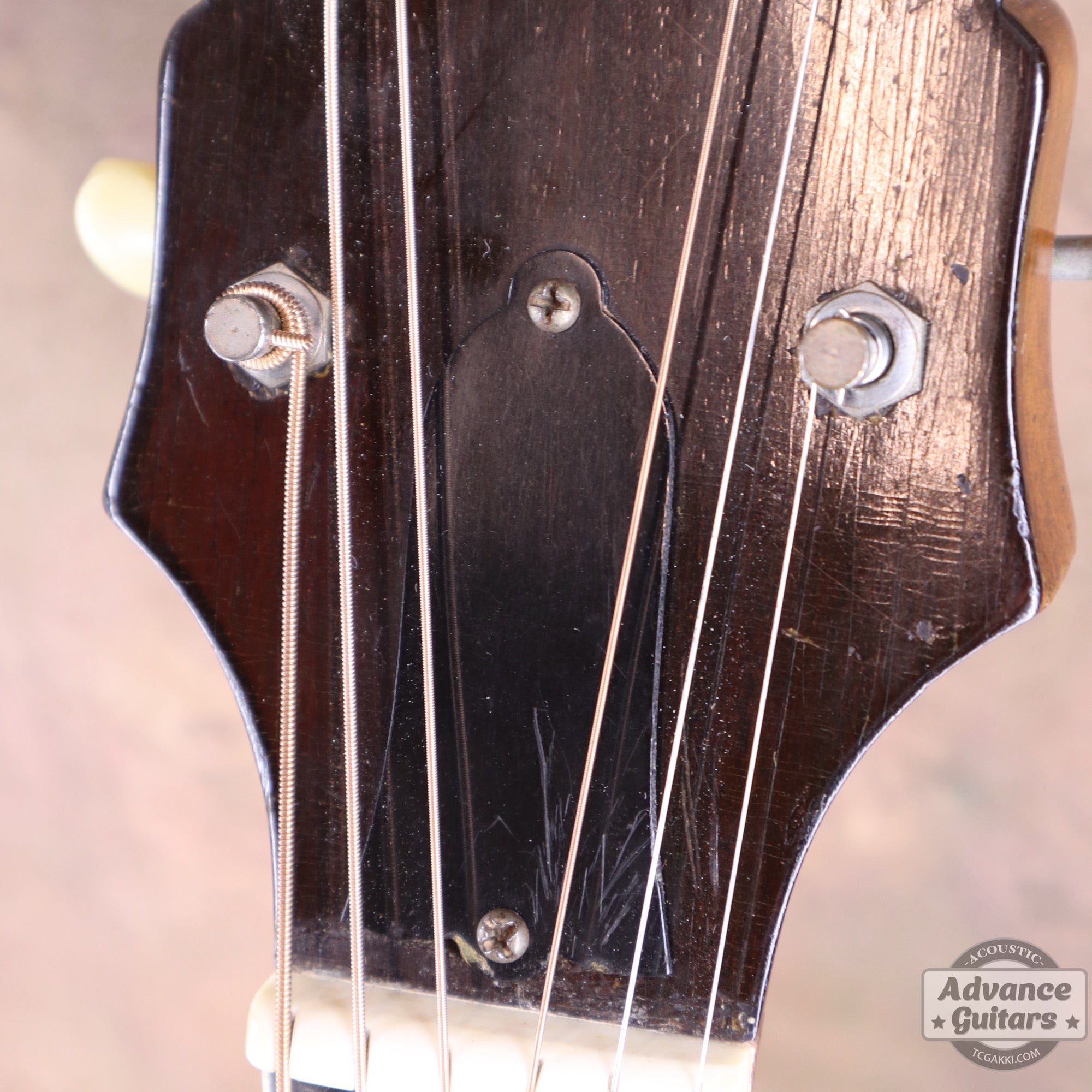 1940s JUMBO - 55 - TC楽器 - TCGAKKI