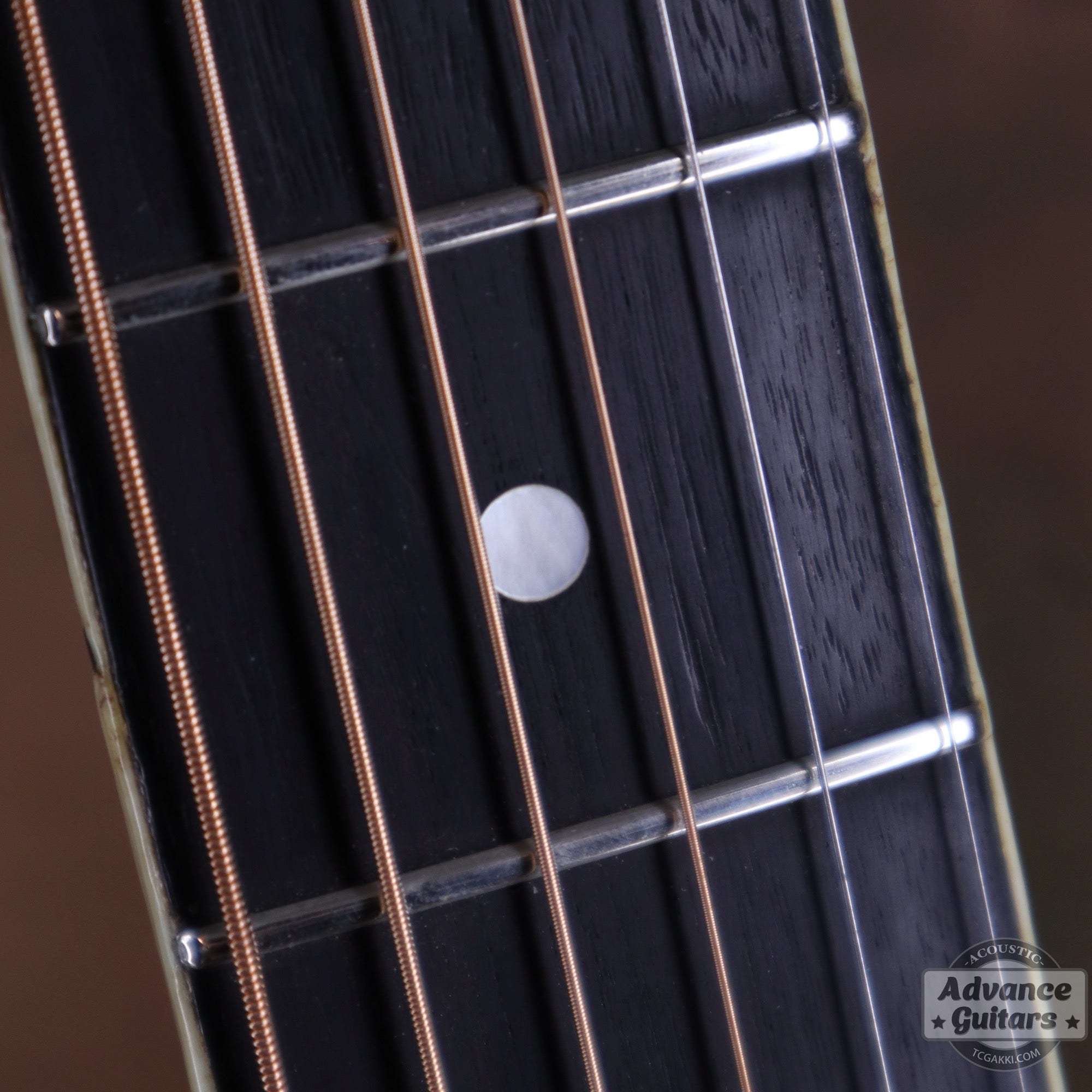 1940s JUMBO - 55 - TC楽器 - TCGAKKI