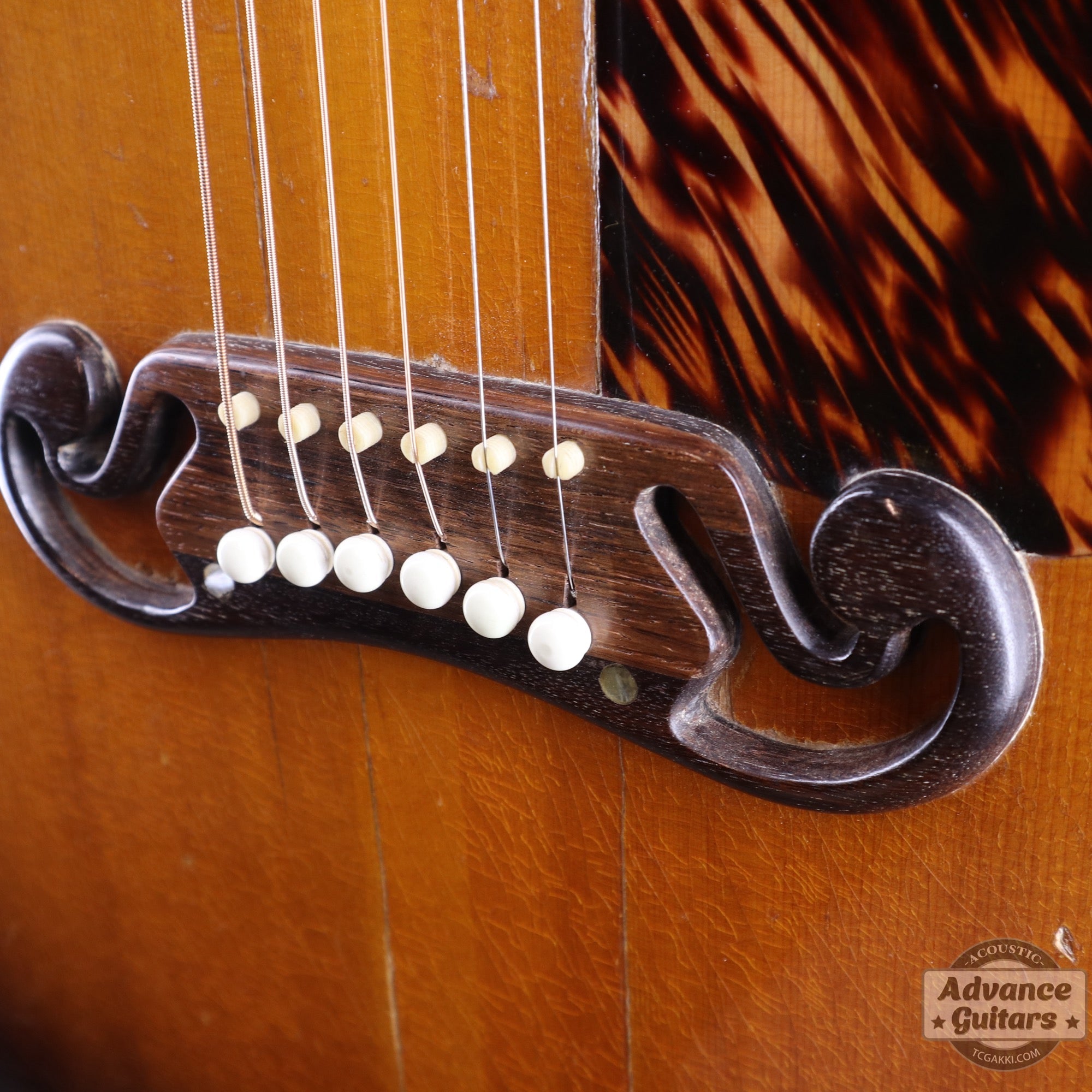 1940s JUMBO - 55 - TC楽器 - TCGAKKI