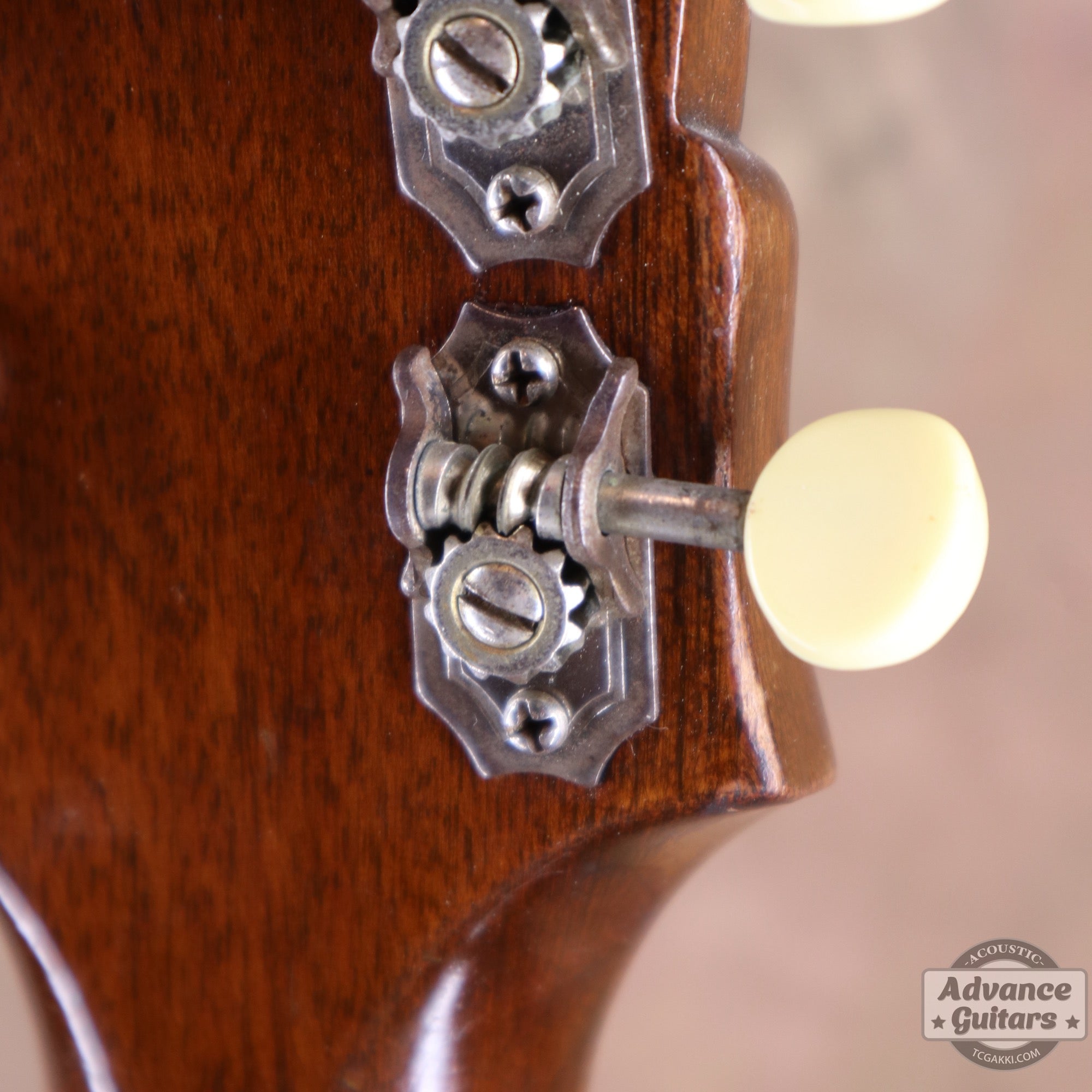 1940s JUMBO - 55 - TC楽器 - TCGAKKI