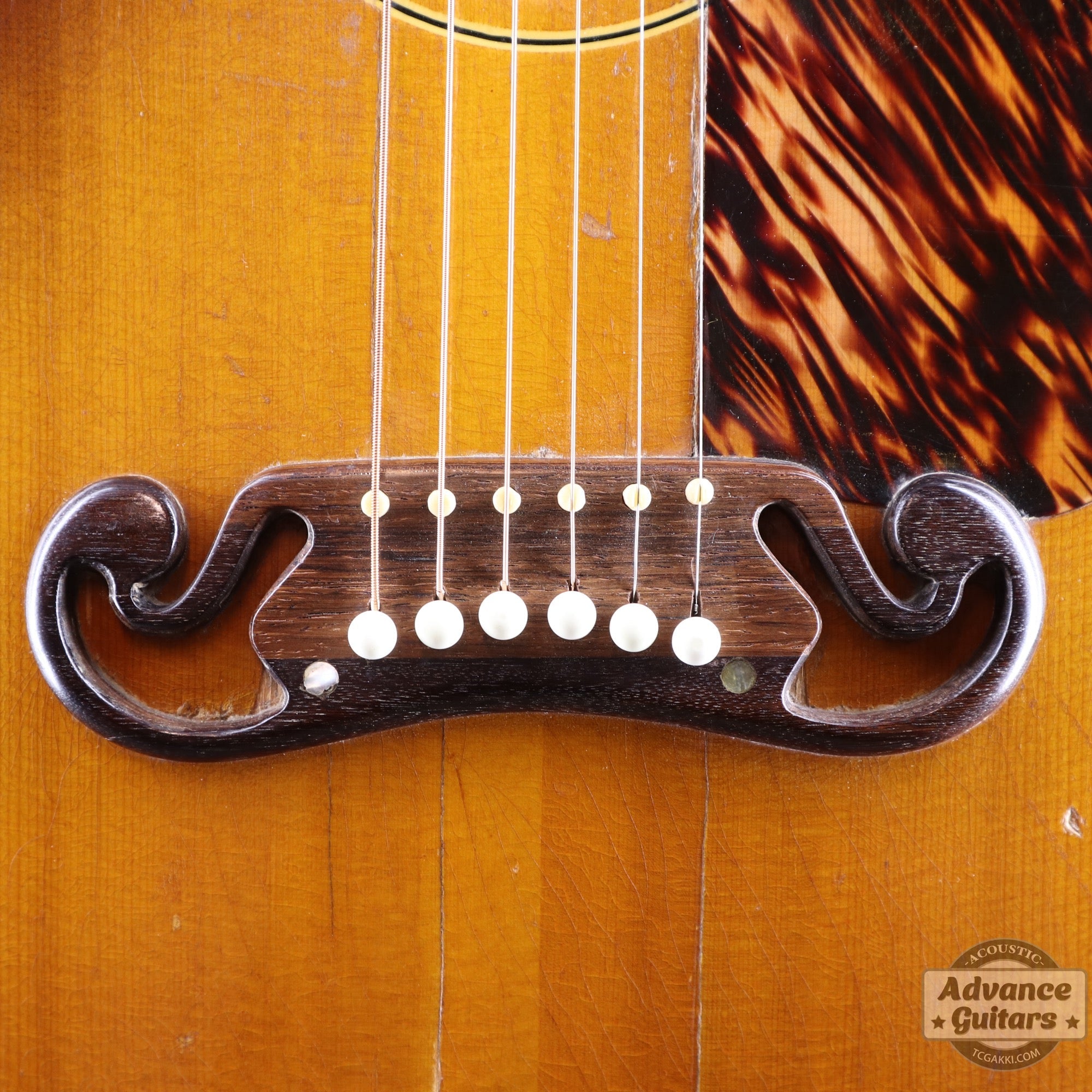 1940s JUMBO - 55 - TC楽器 - TCGAKKI