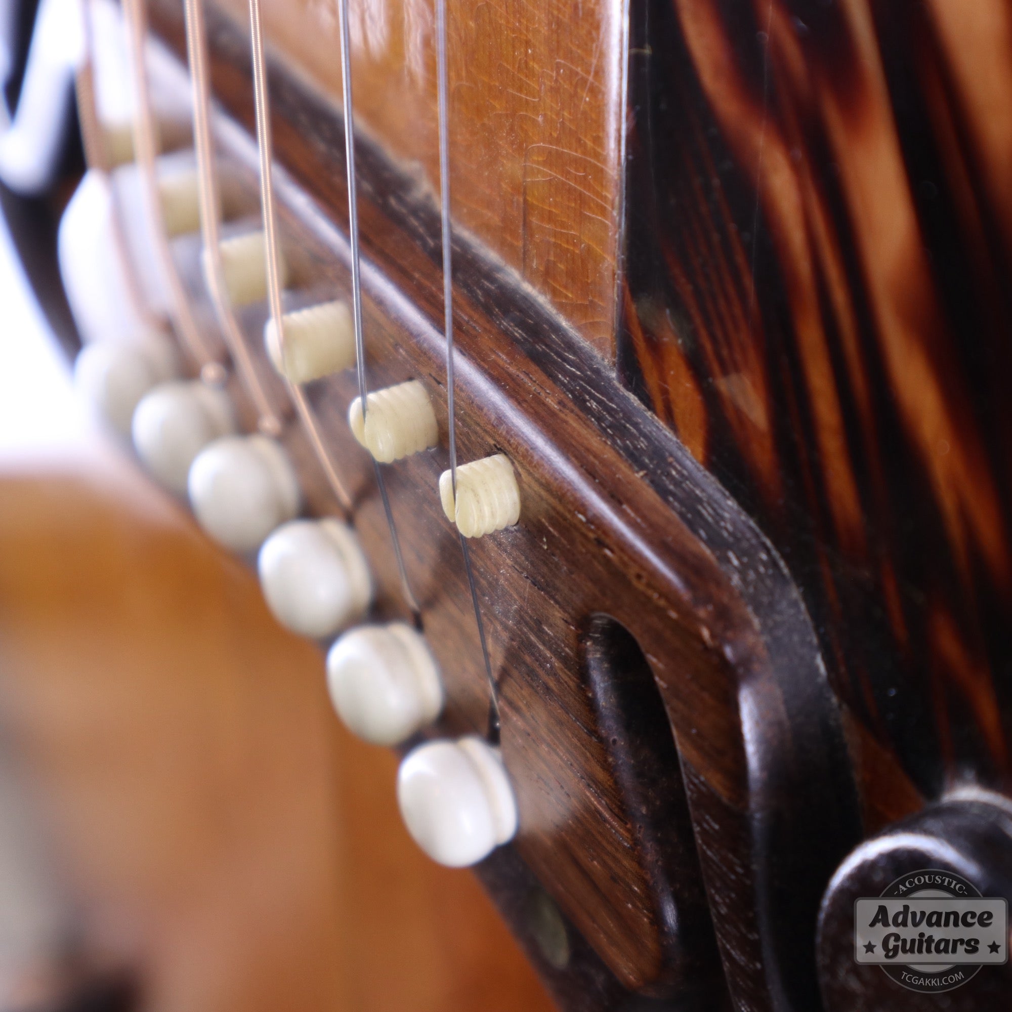 1940s JUMBO - 55 - TC楽器 - TCGAKKI