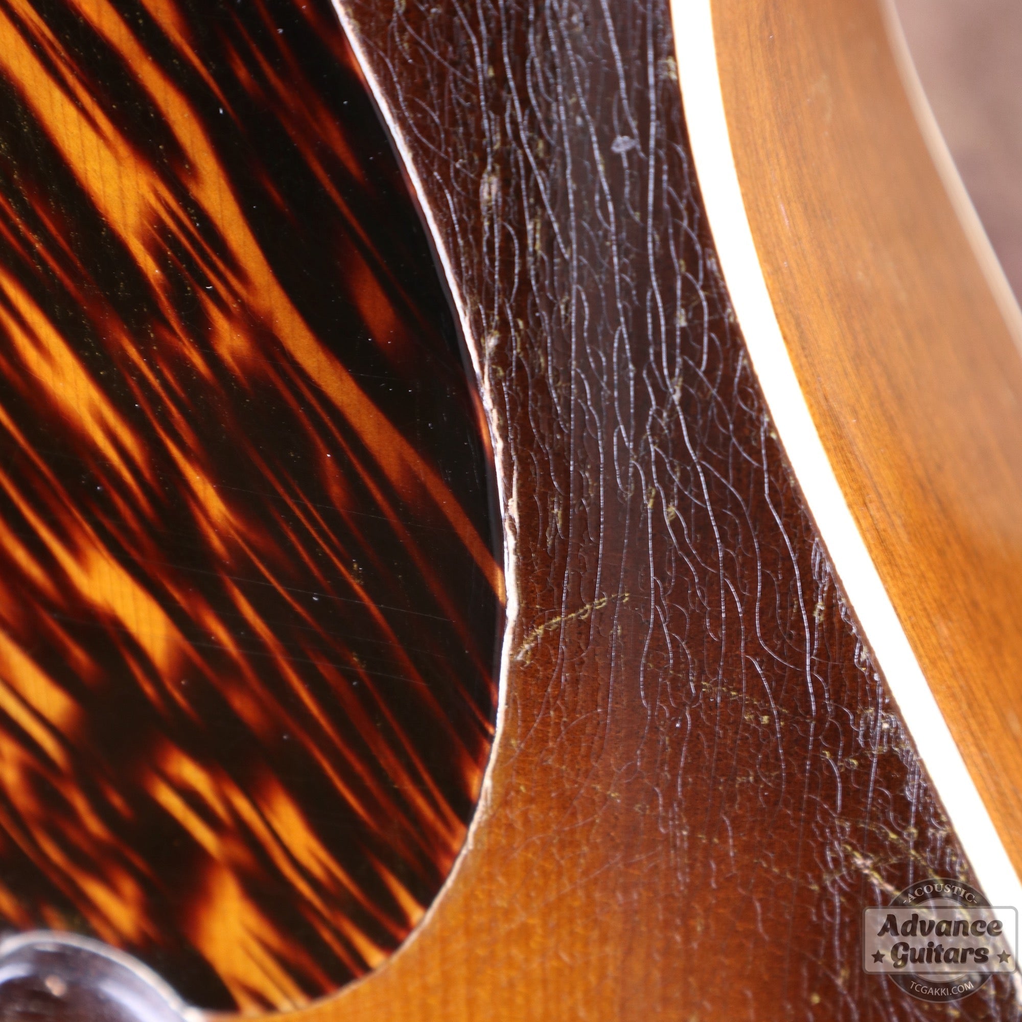 1940s JUMBO - 55 - TC楽器 - TCGAKKI