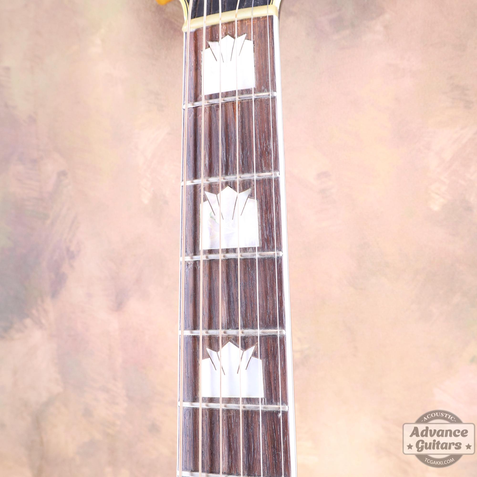 1941年製 SJ - 200 Rosewood - TC楽器 - TCGAKKI