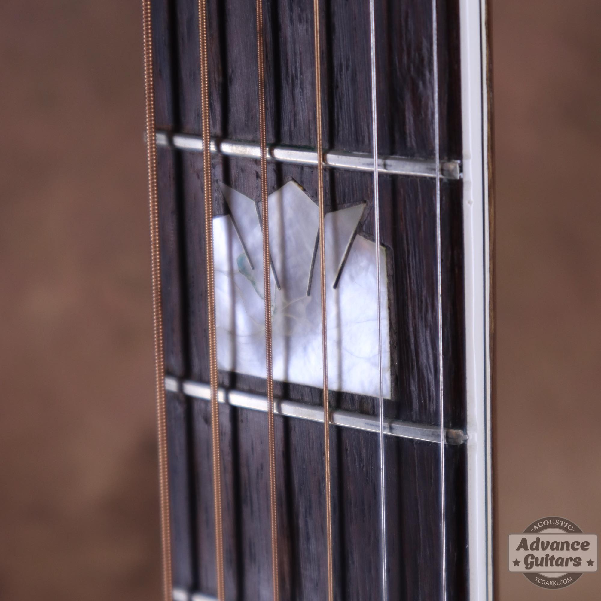 1941年製 SJ - 200 Rosewood - TC楽器 - TCGAKKI