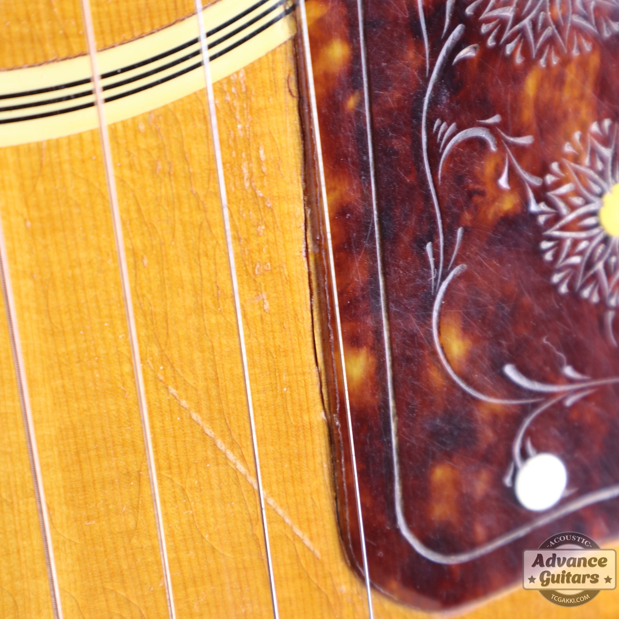 1941年製 SJ - 200 Rosewood - TC楽器 - TCGAKKI