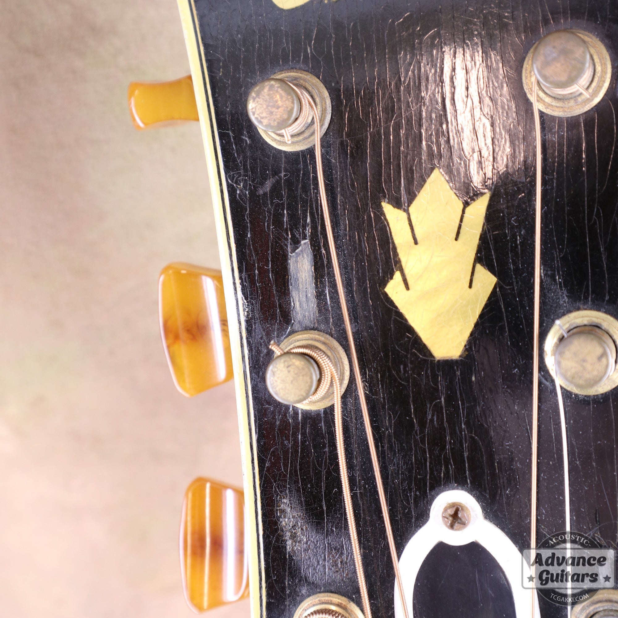 1941年製 SJ - 200 Rosewood - TC楽器 - TCGAKKI