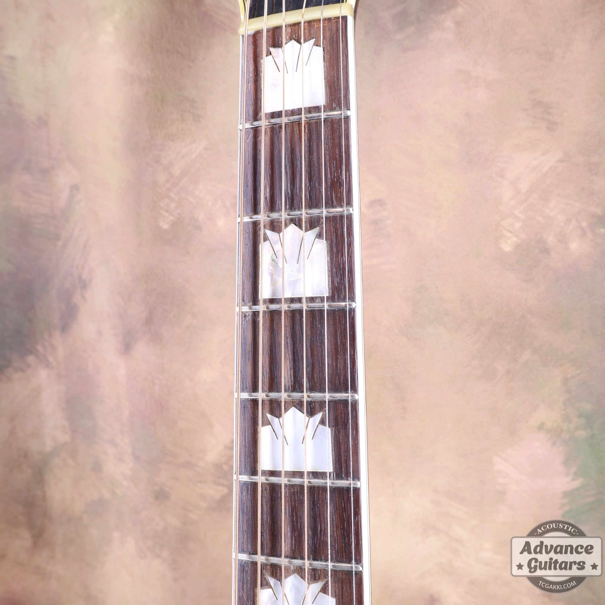 1941年製 SJ - 200 Rosewood - TC楽器 - TCGAKKI