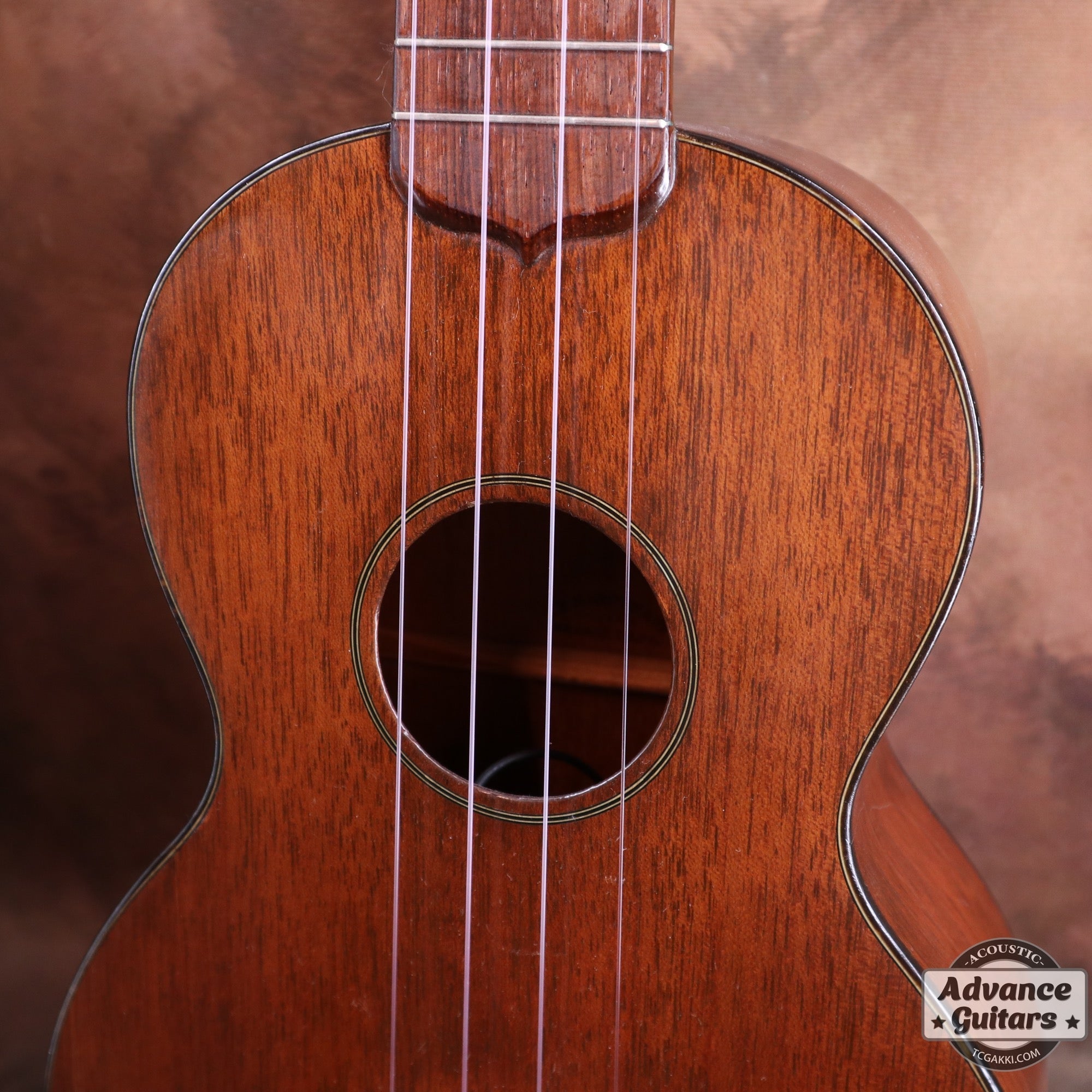 1950 - 60s Style - 1 Concert Ukulele - TC楽器 - TCGAKKI