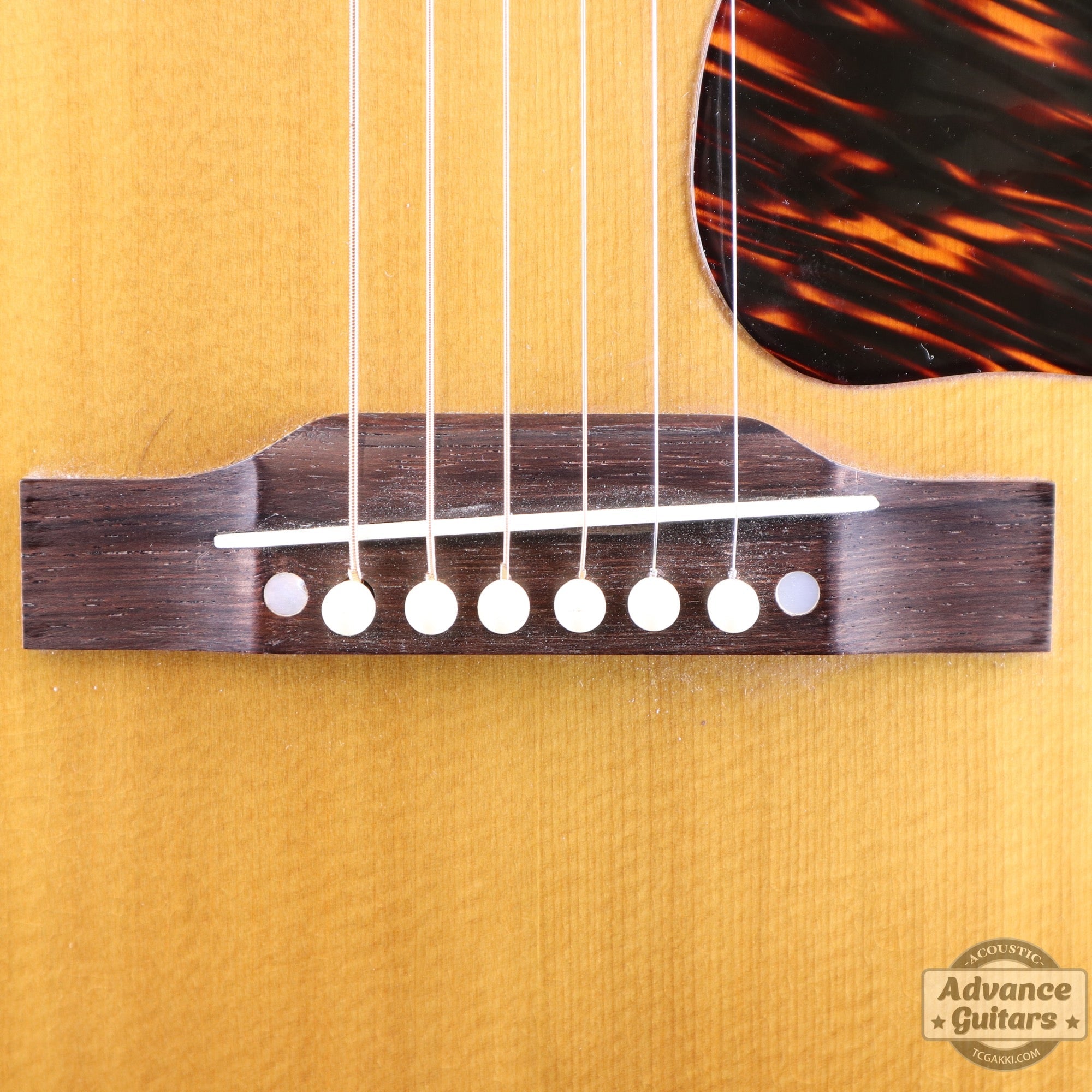 1951年製 J - 50 - TC楽器 - TCGAKKI