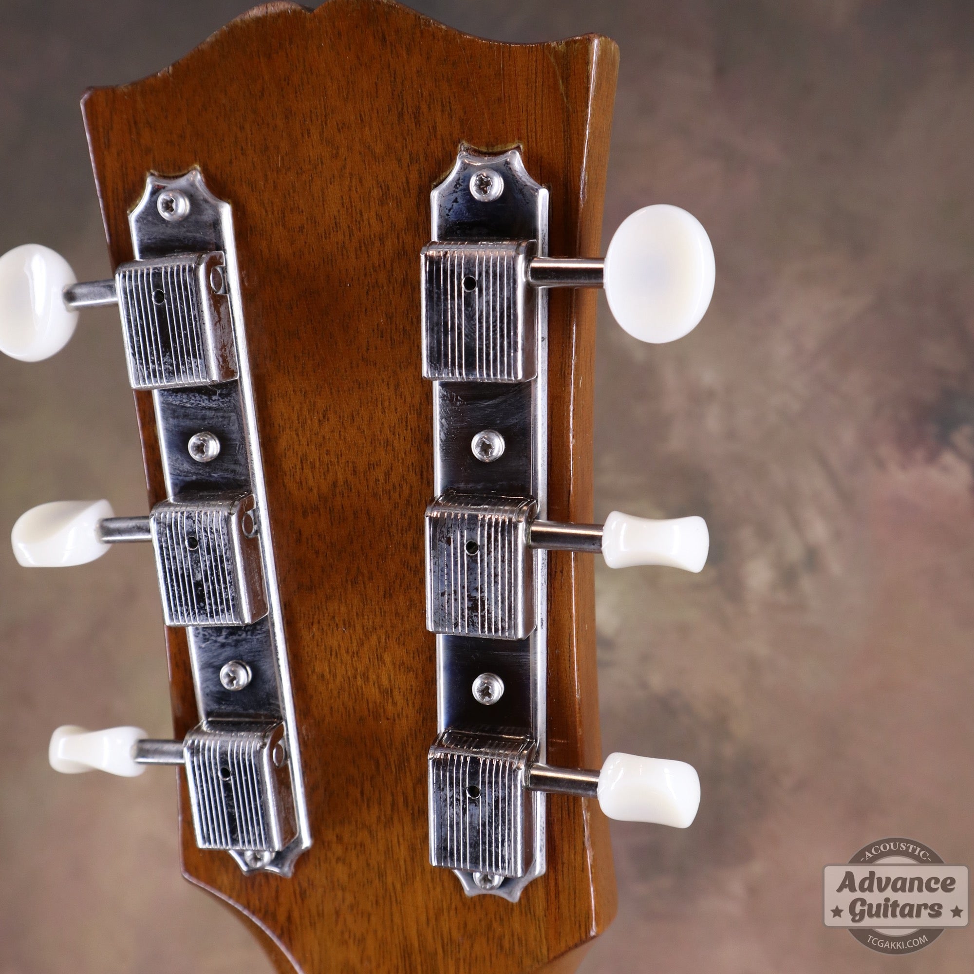 1951年製 J - 50 - TC楽器 - TCGAKKI