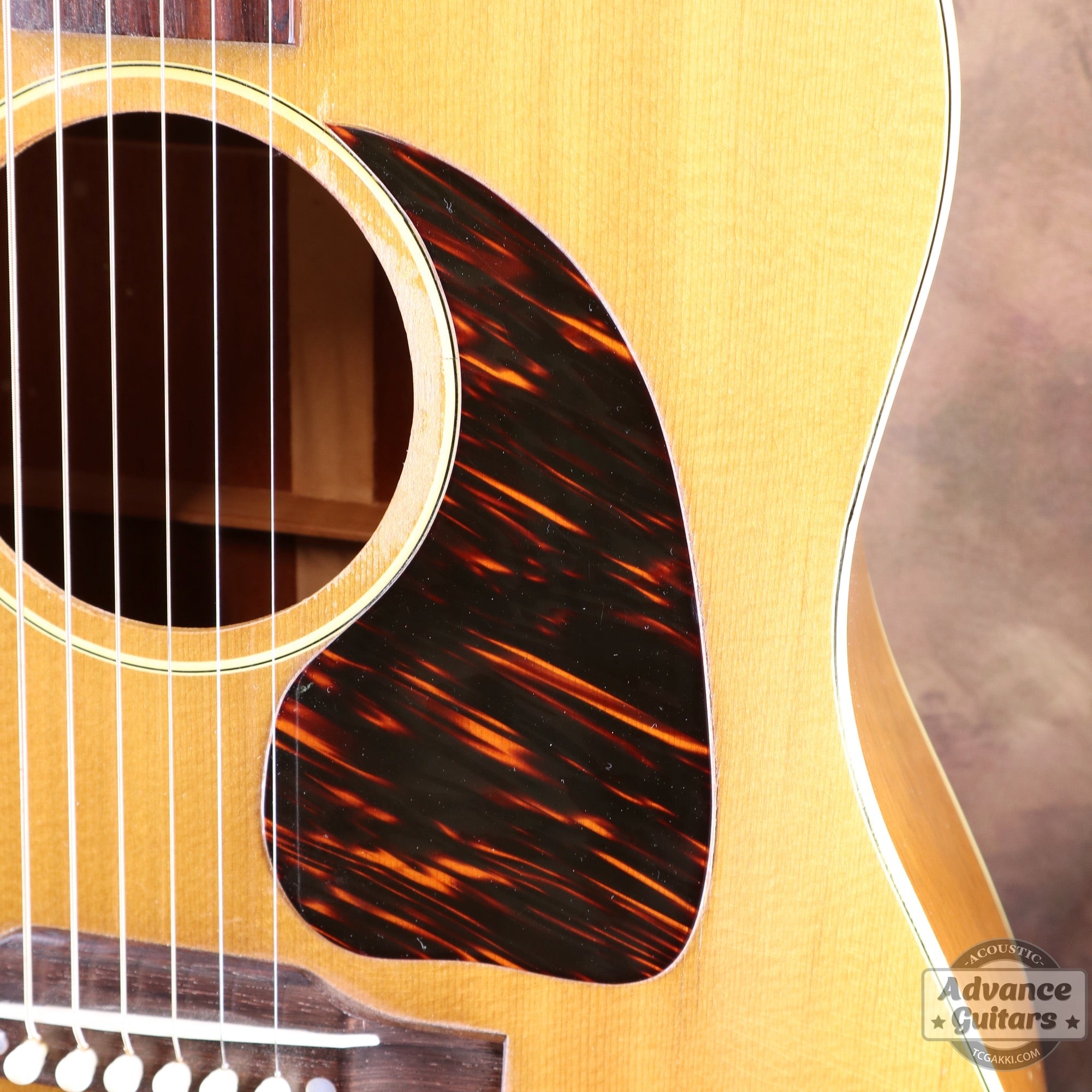 1951年製 J - 50 - TC楽器 - TCGAKKI