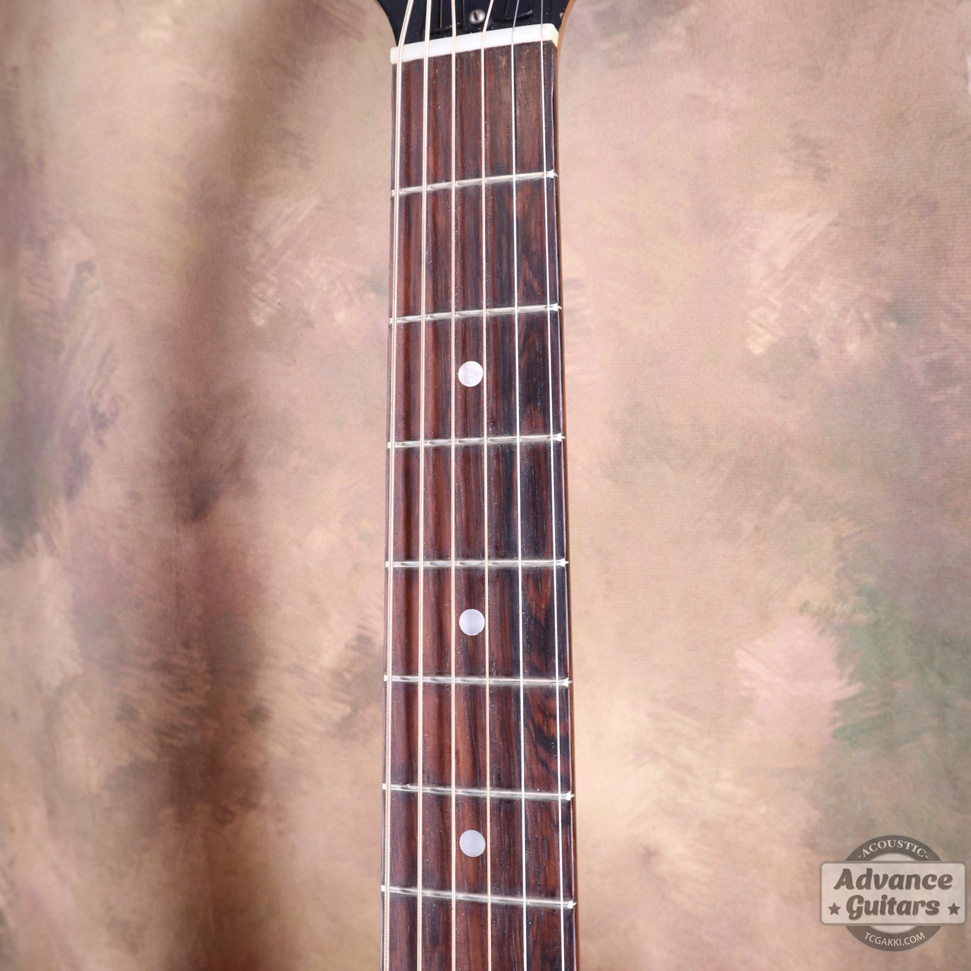 1951年製 J - 50 - TC楽器 - TCGAKKI