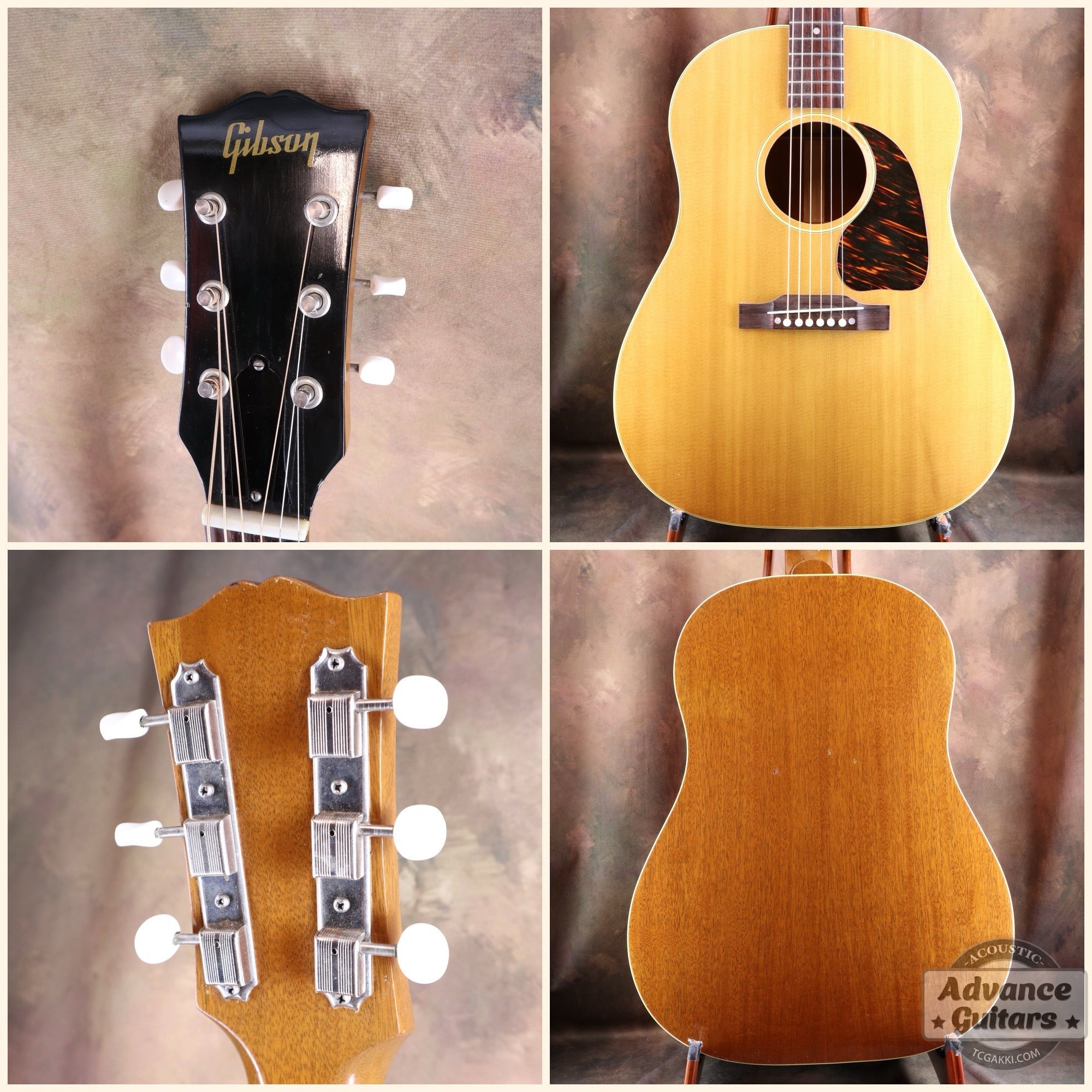 1951年製 J - 50 - TC楽器 - TCGAKKI