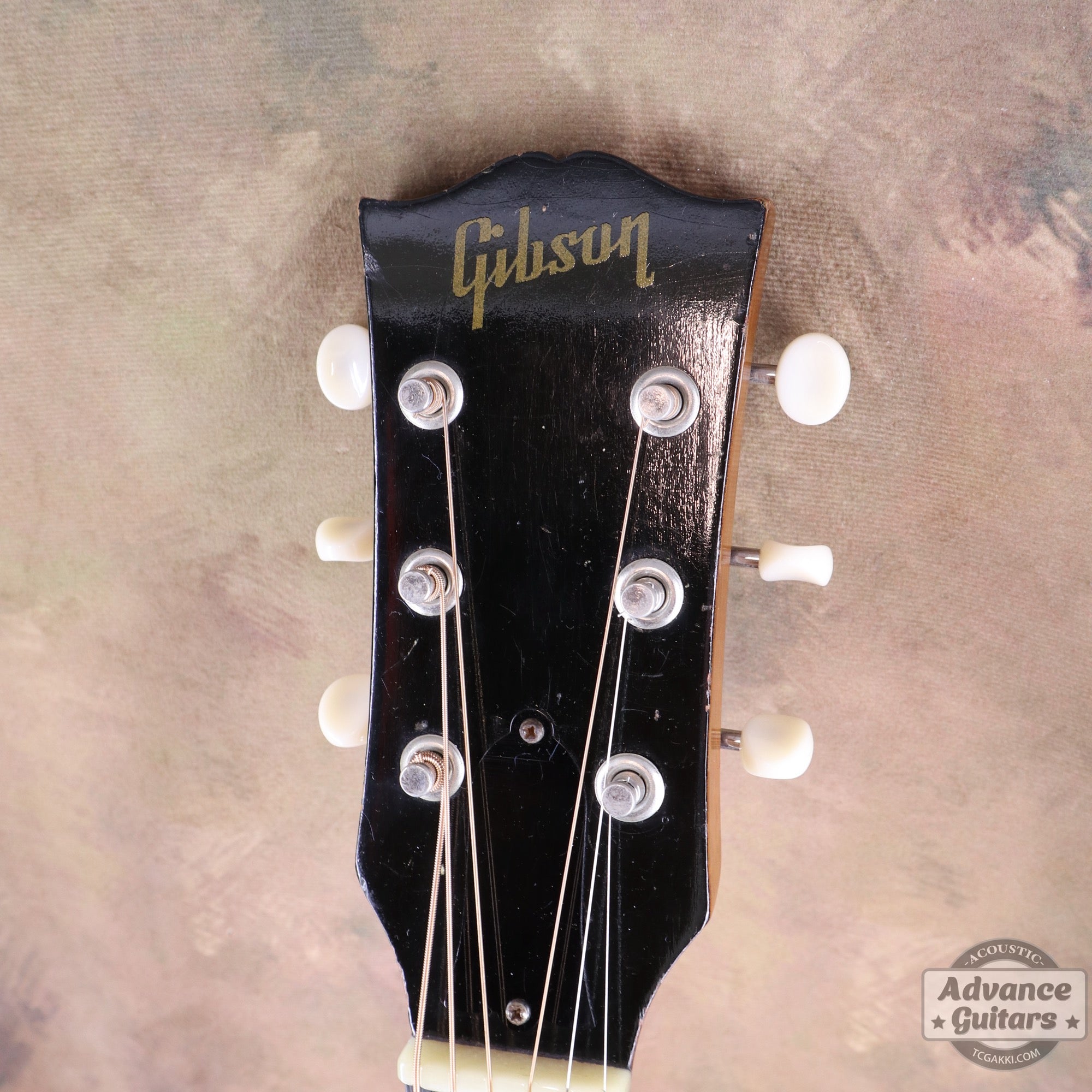 1951年製 J - 50 - TC楽器 - TCGAKKI