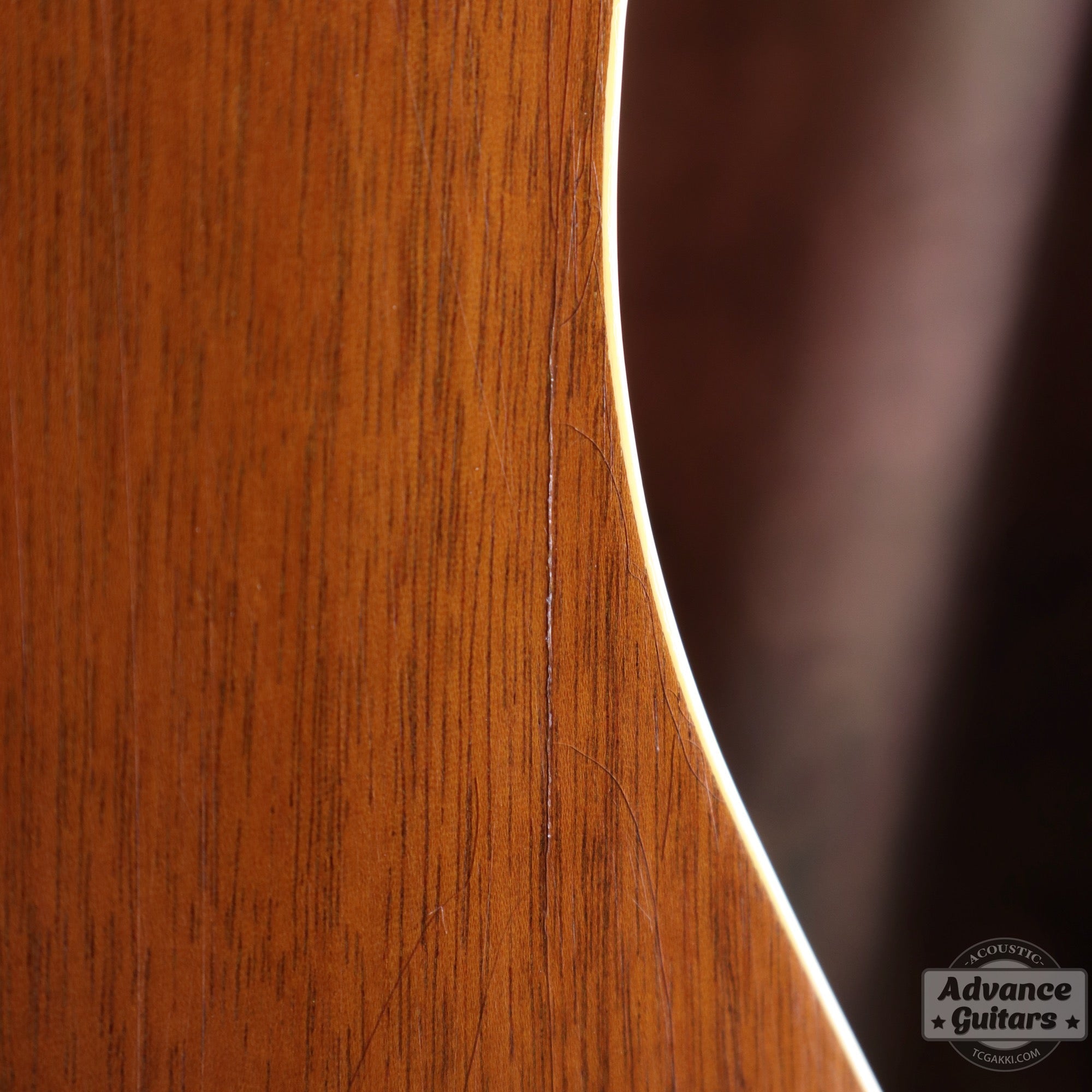 1951年製 J - 50 - TC楽器 - TCGAKKI