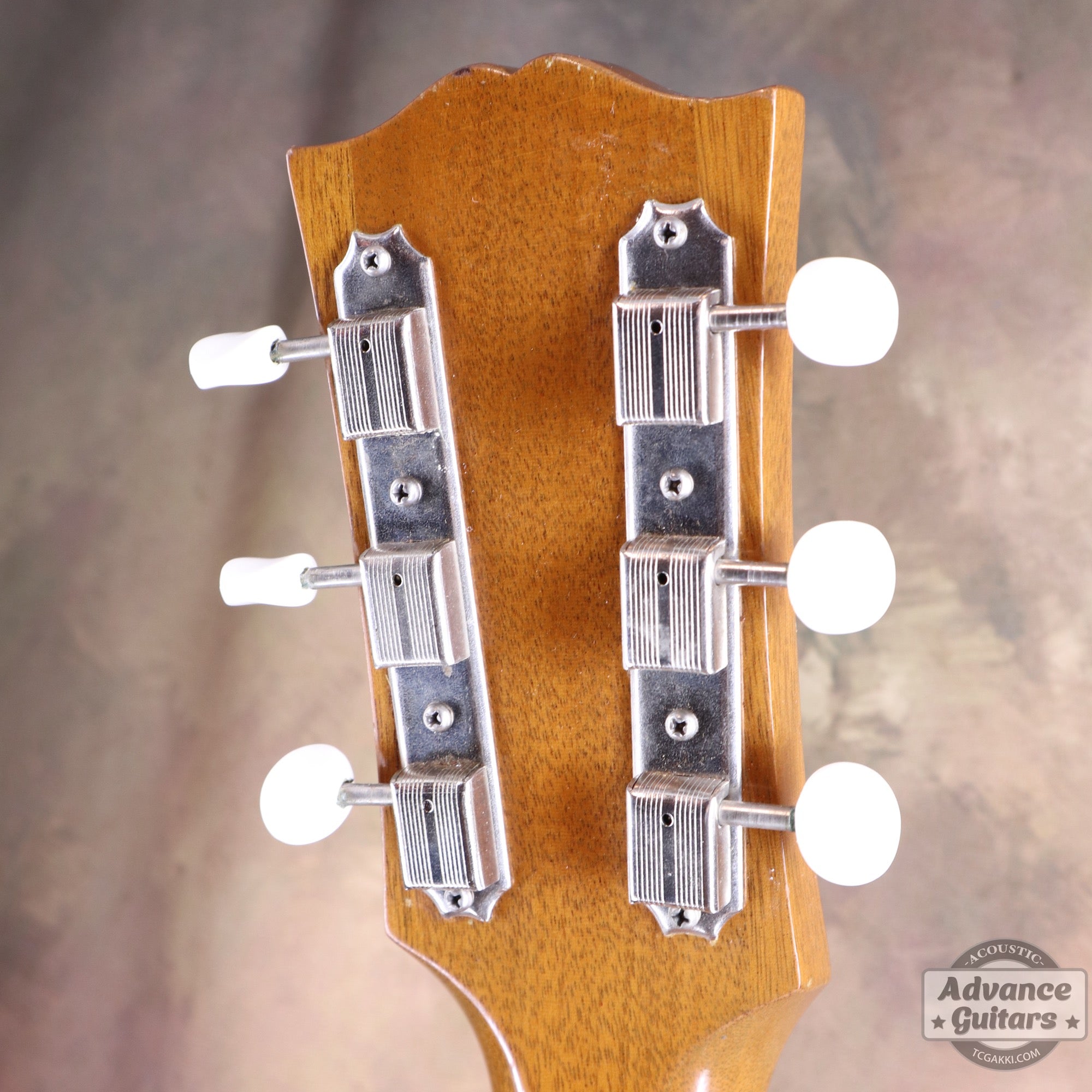 1951年製 J - 50 - TC楽器 - TCGAKKI