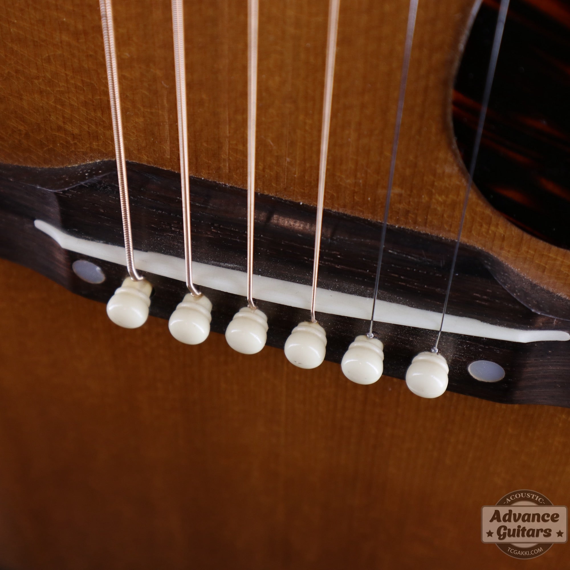 1951年製 J - 50 - TC楽器 - TCGAKKI