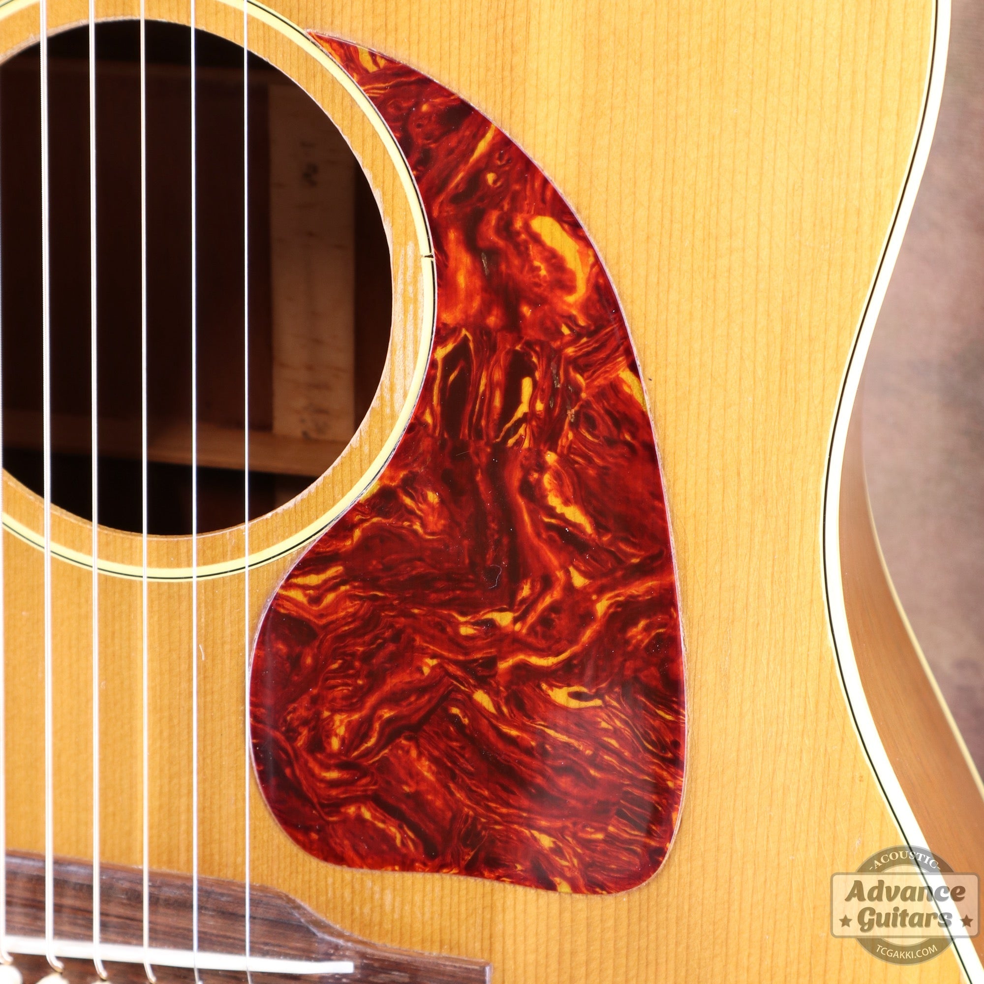 1951年製 J - 50 - TC楽器 - TCGAKKI