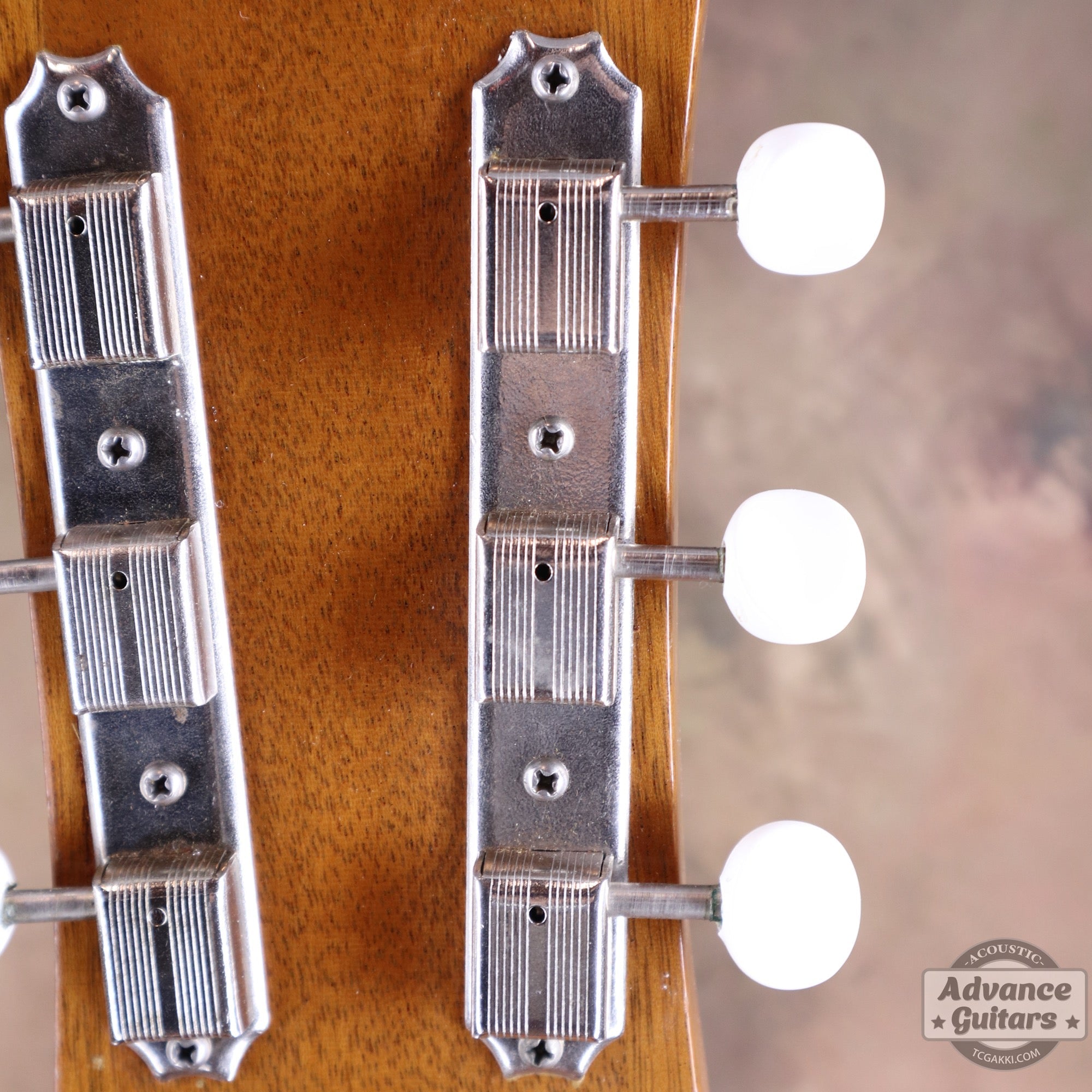 1951年製 J - 50 - TC楽器 - TCGAKKI