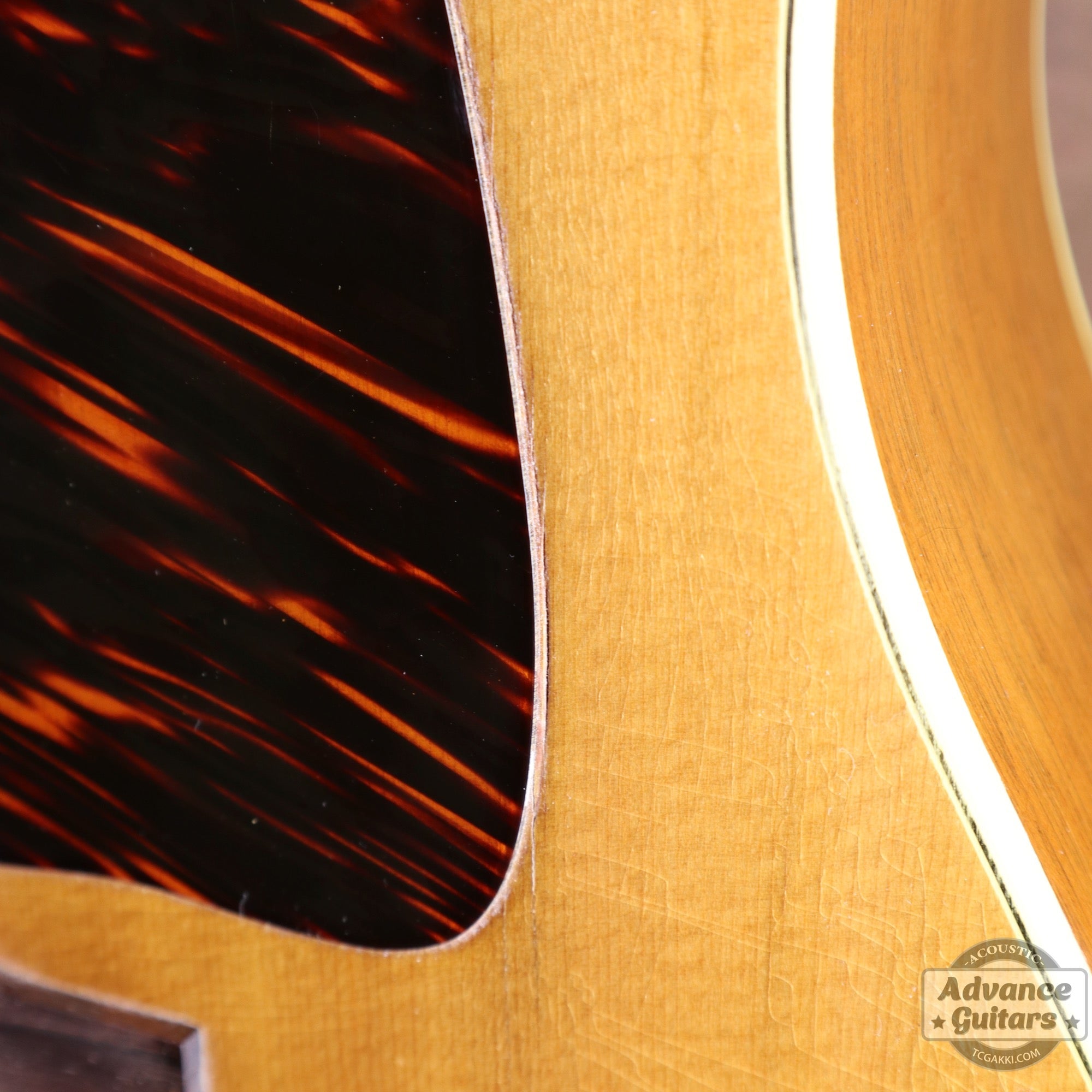 1951年製 J - 50 - TC楽器 - TCGAKKI