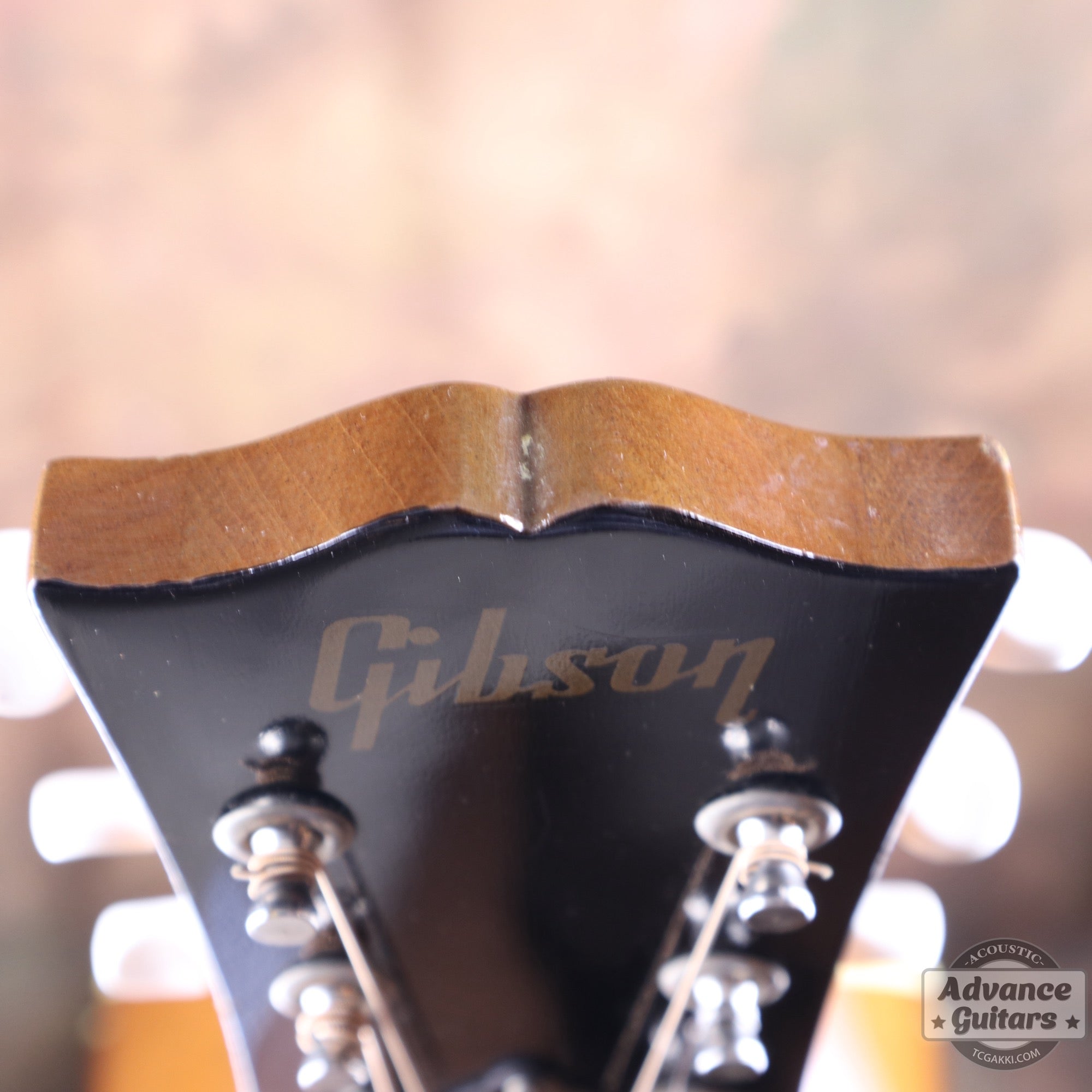 1951年製 J - 50 - TC楽器 - TCGAKKI