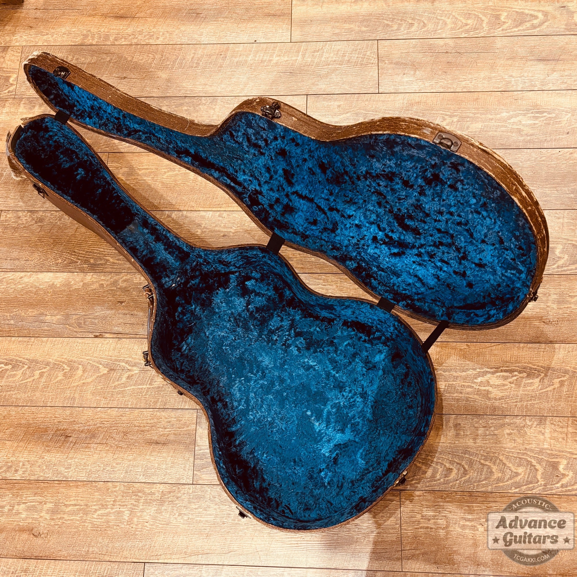 1951年製 J - 50 - TC楽器 - TCGAKKI