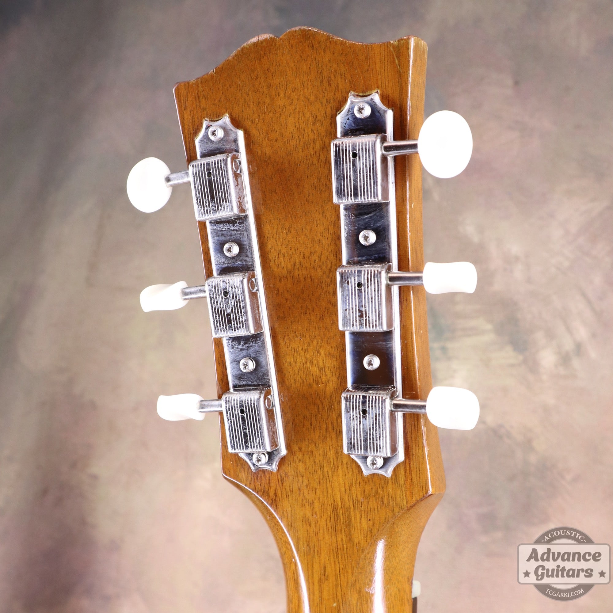 1951年製 J - 50 - TC楽器 - TCGAKKI