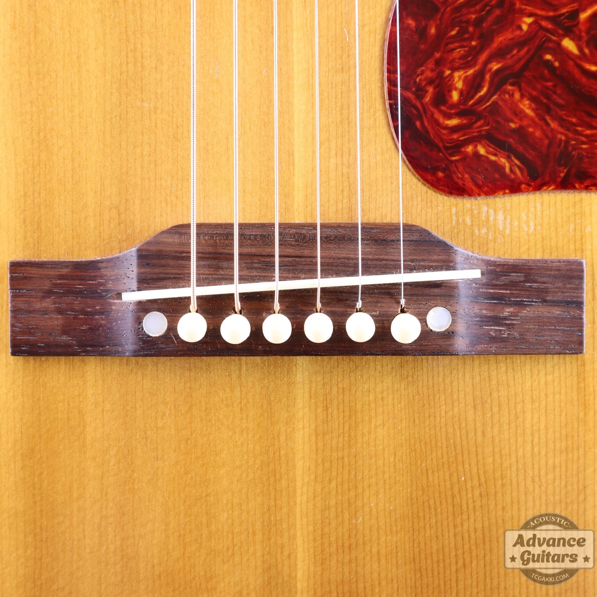 1951年製 J - 50 - TC楽器 - TCGAKKI