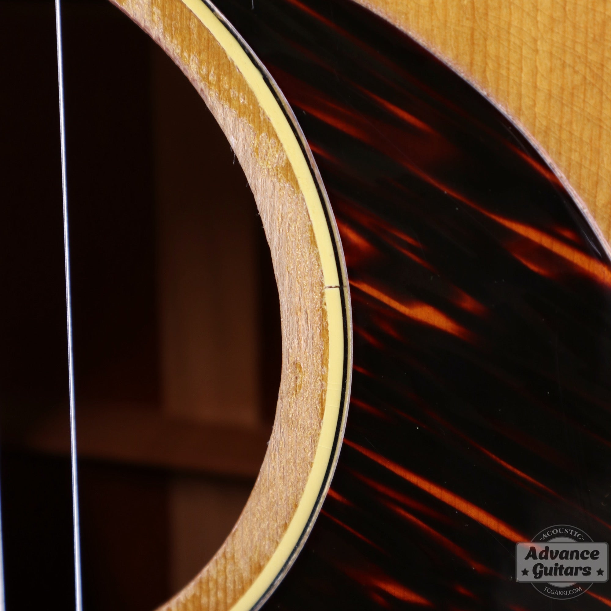 1951年製 J - 50 - TC楽器 - TCGAKKI