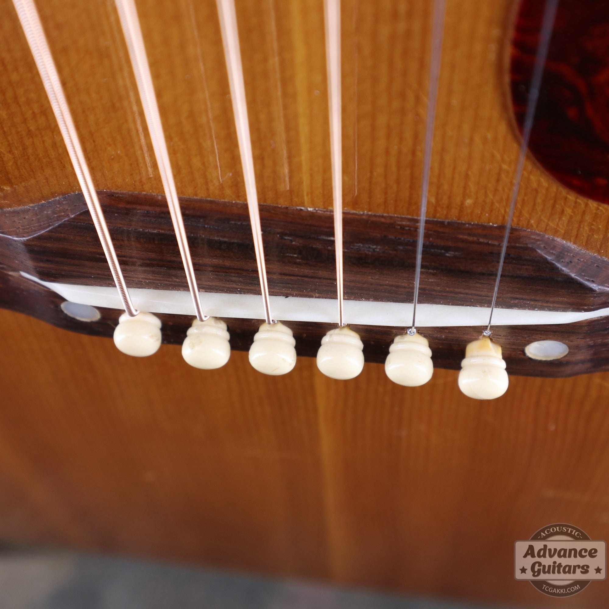 1951年製 J - 50 - TC楽器 - TCGAKKI