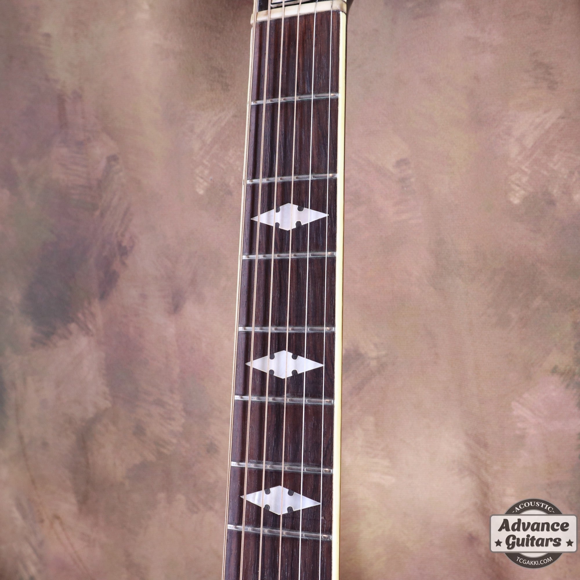 1951年製 Triumph - TC楽器 - TCGAKKI