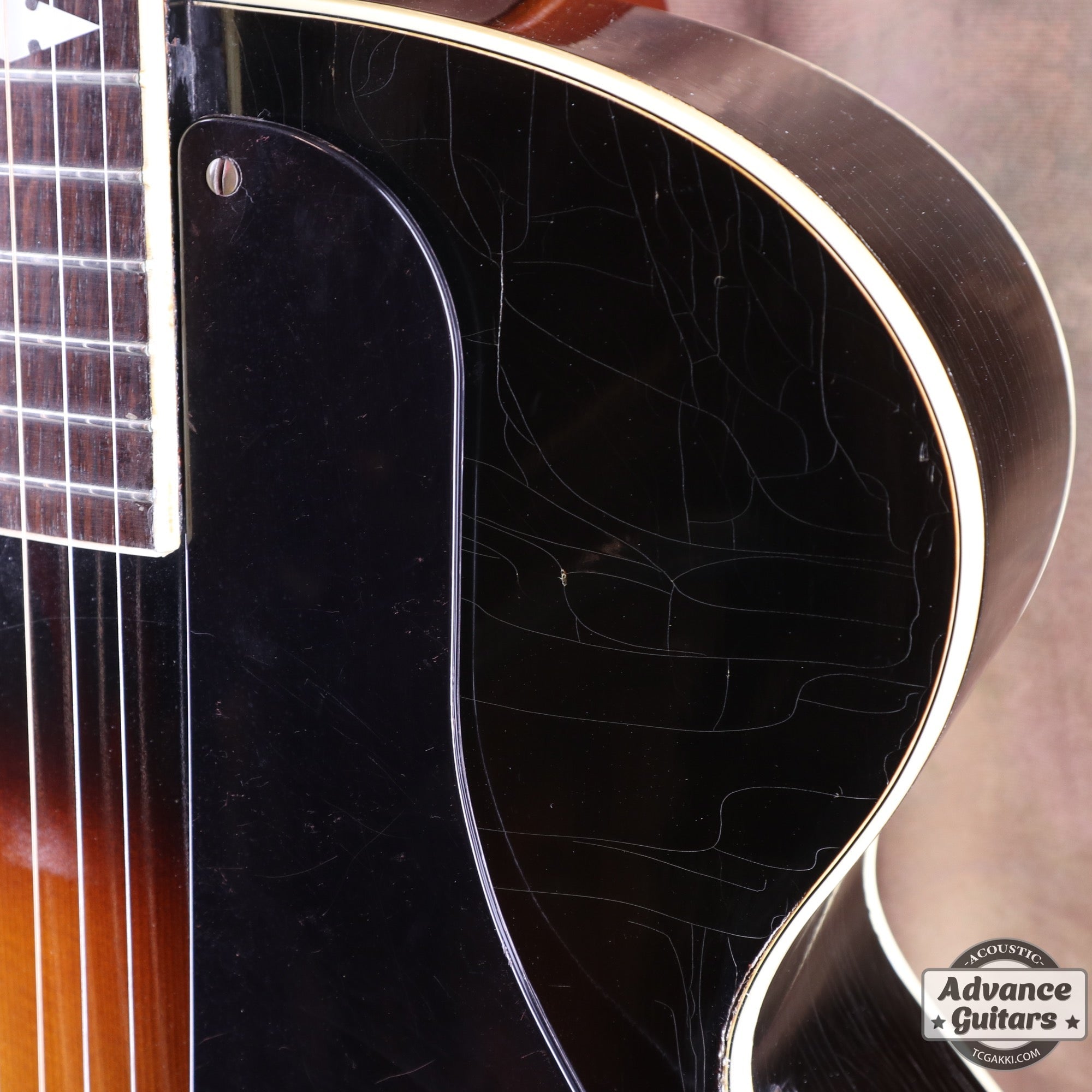 1951年製 Triumph - TC楽器 - TCGAKKI