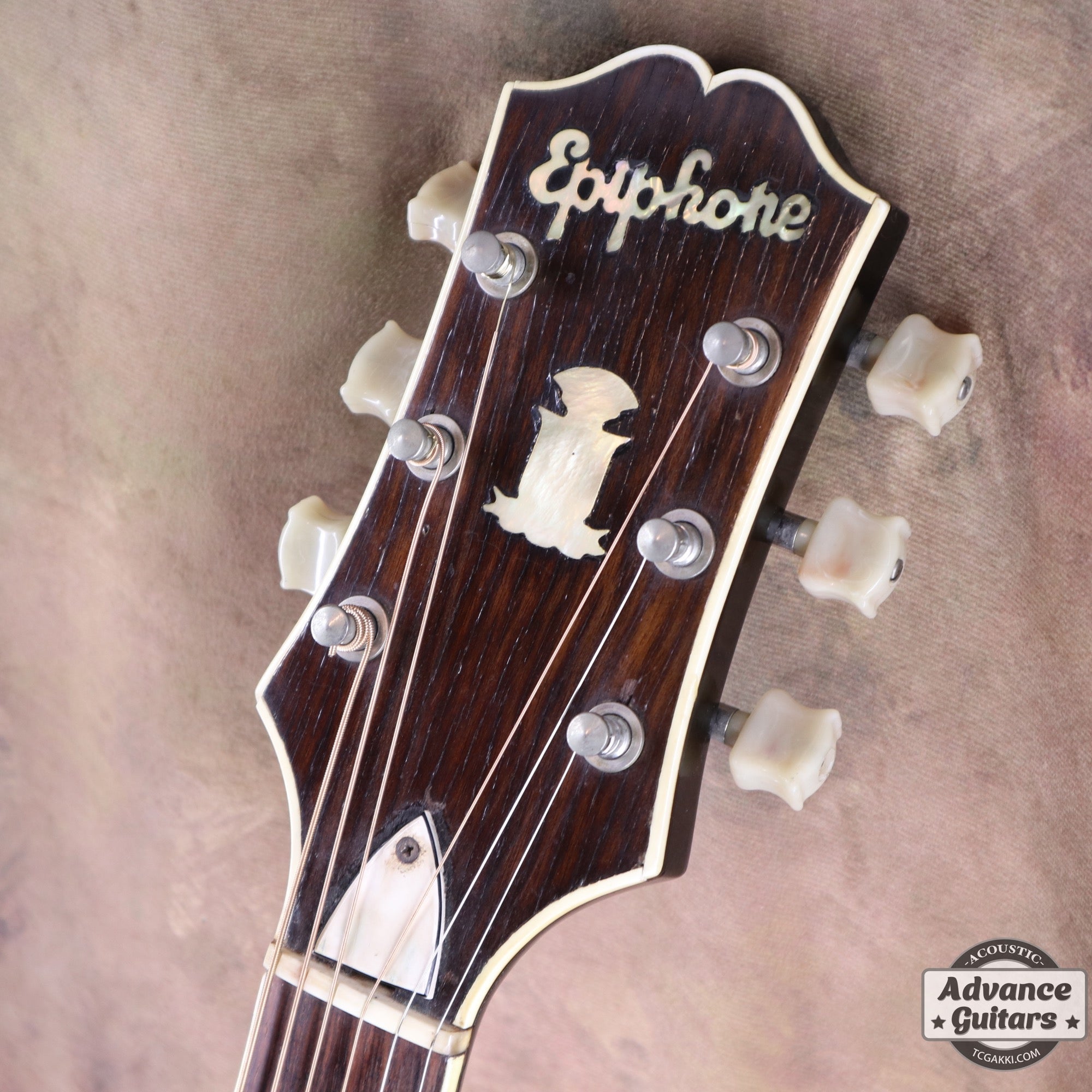 1951年製 Triumph - TC楽器 - TCGAKKI