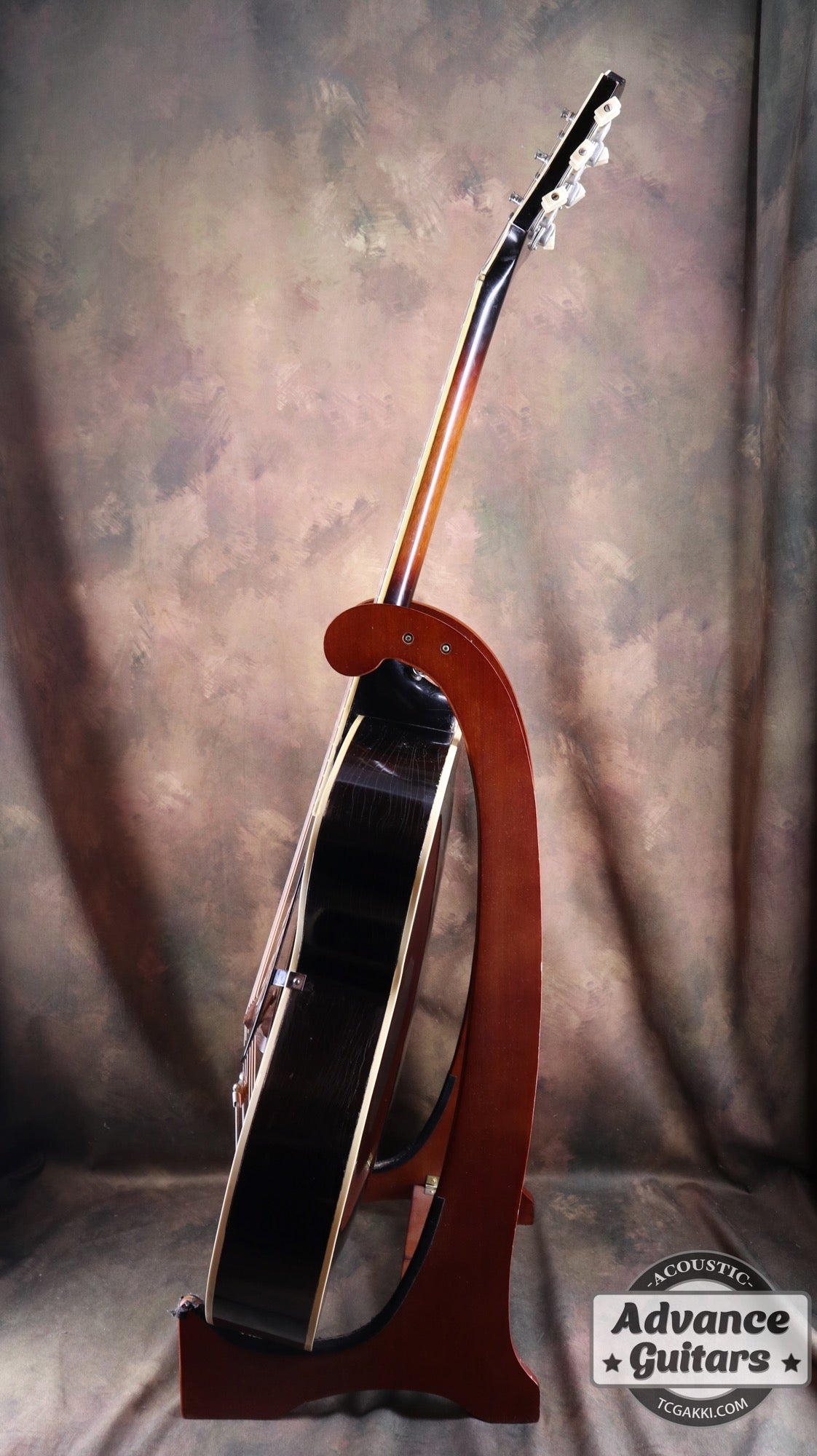 1951年製 Triumph - TC楽器 - TCGAKKI