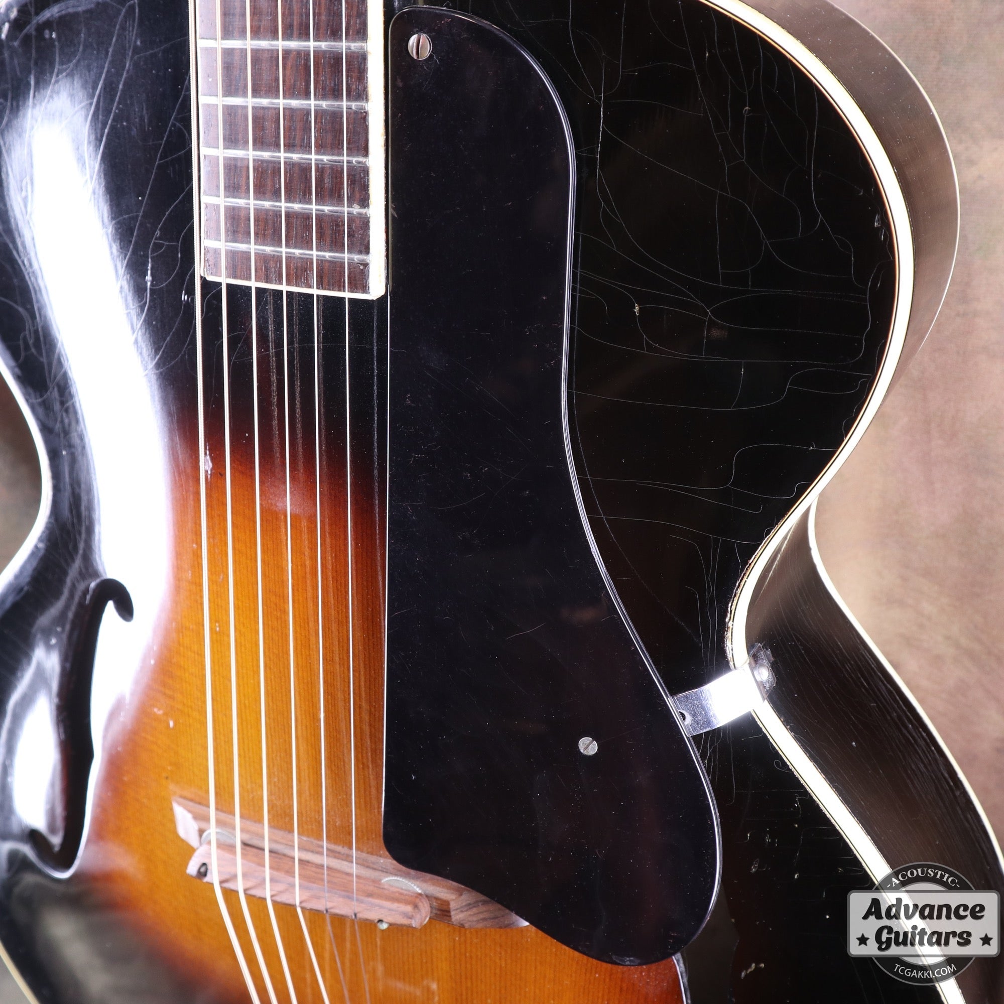 1951年製 Triumph - TC楽器 - TCGAKKI