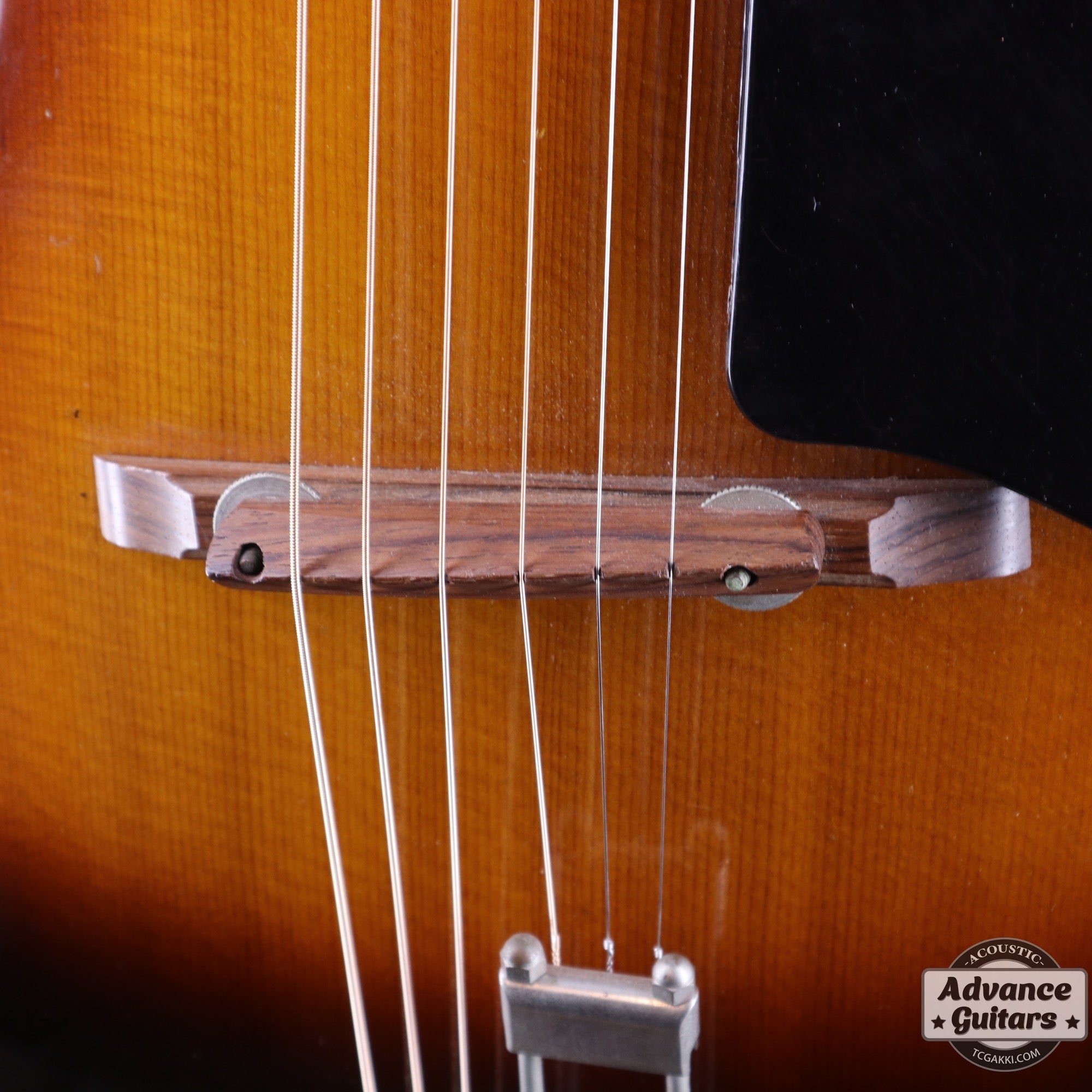 1951年製 Triumph - TC楽器 - TCGAKKI