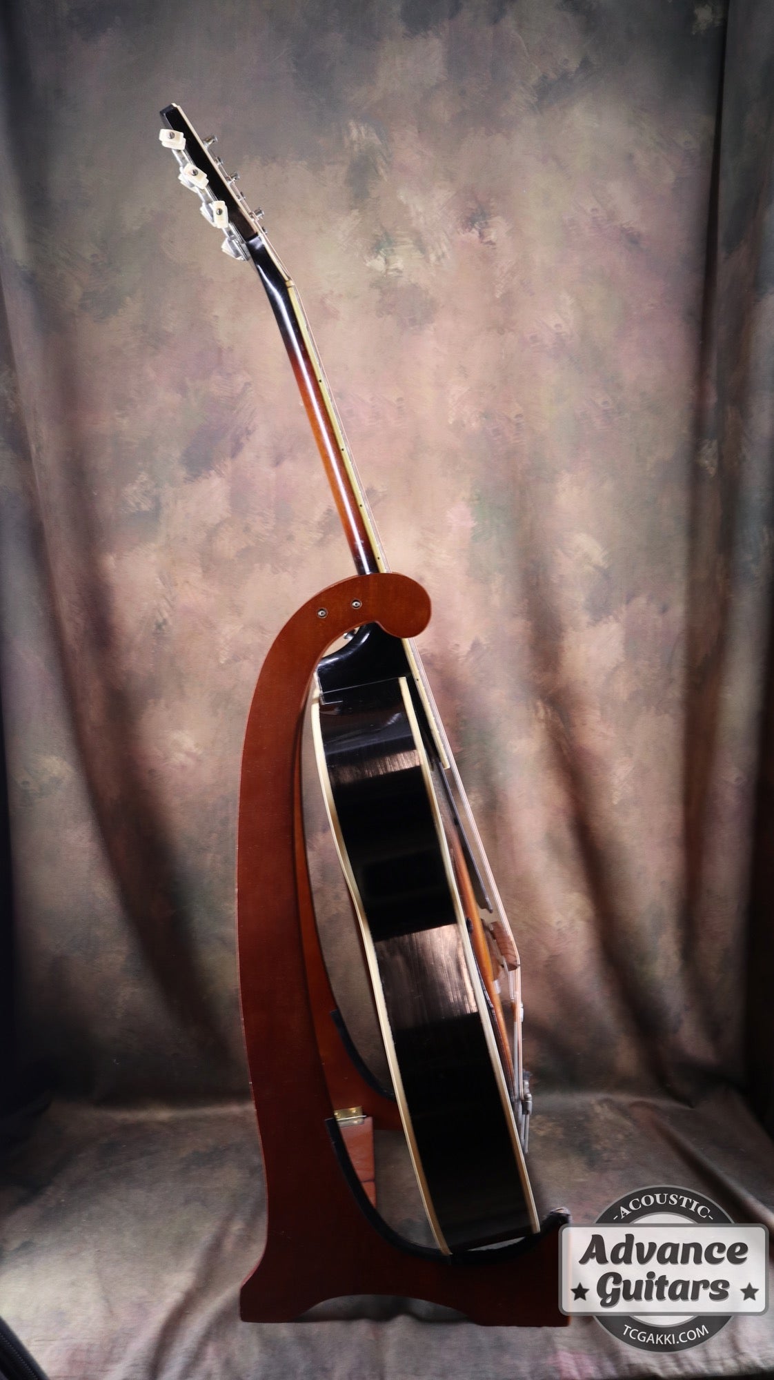 1951年製 Triumph - TC楽器 - TCGAKKI