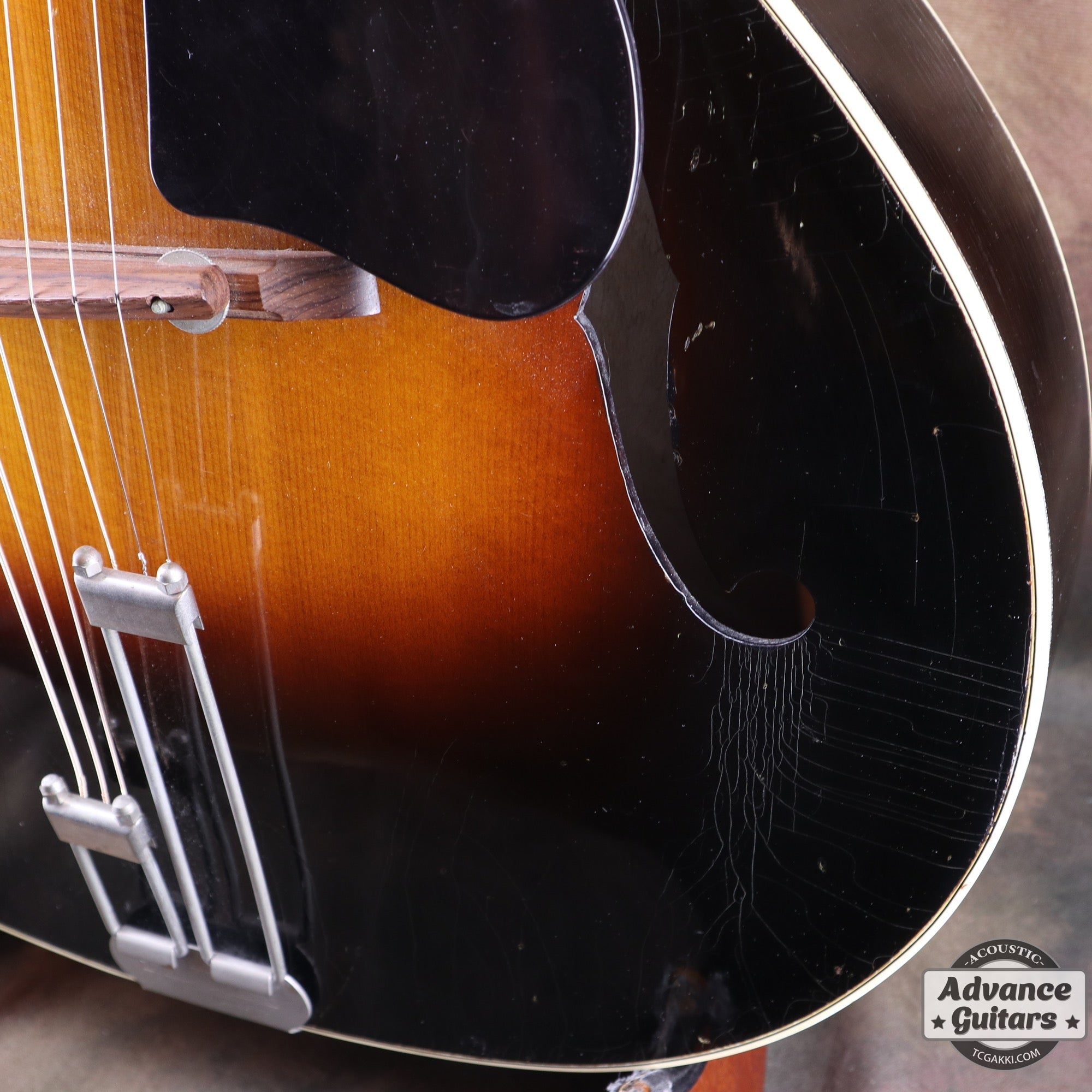 1951年製 Triumph - TC楽器 - TCGAKKI