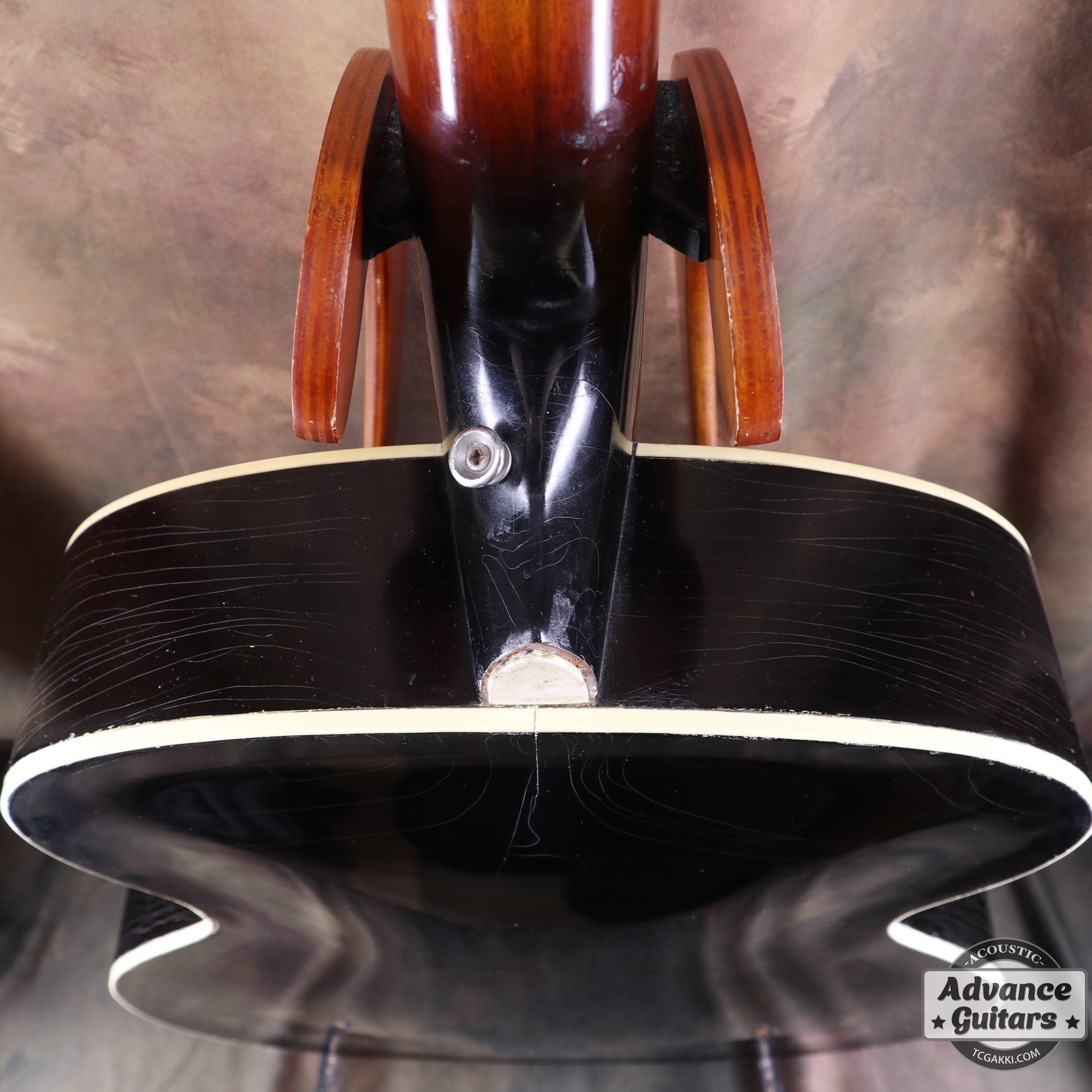 1951年製 Triumph - TC楽器 - TCGAKKI