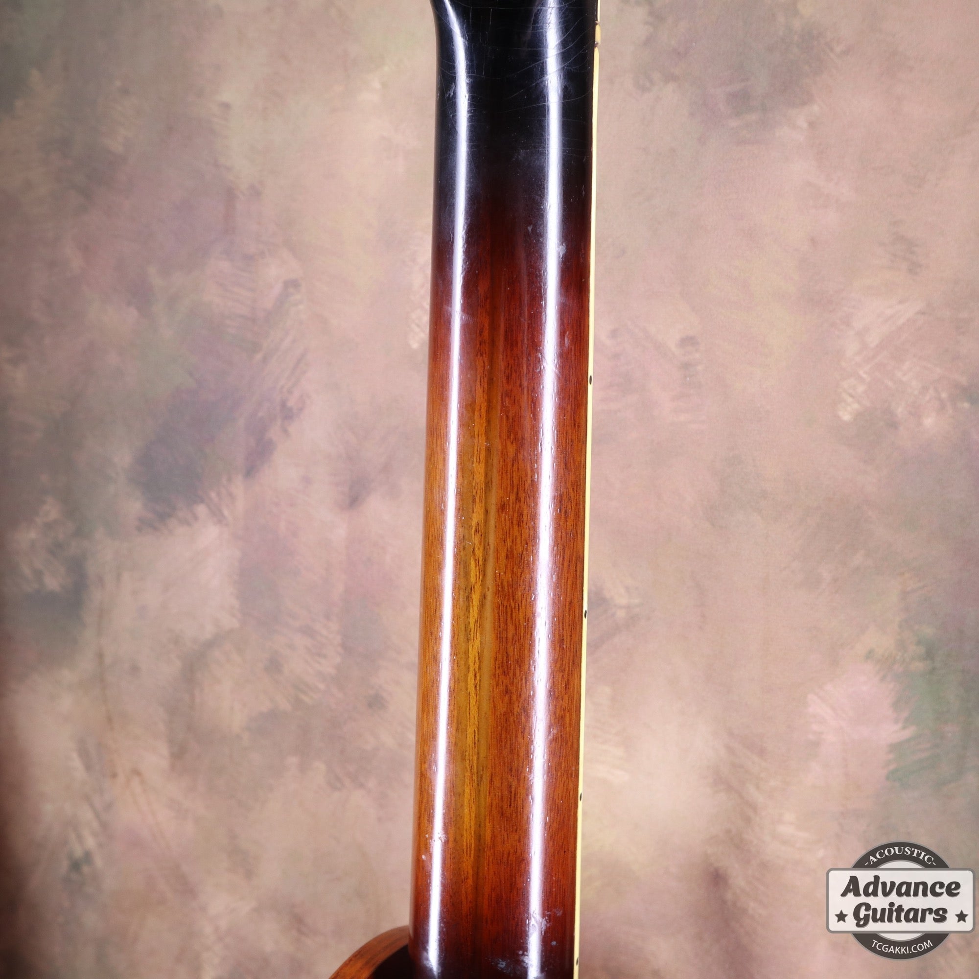 1951年製 Triumph - TC楽器 - TCGAKKI