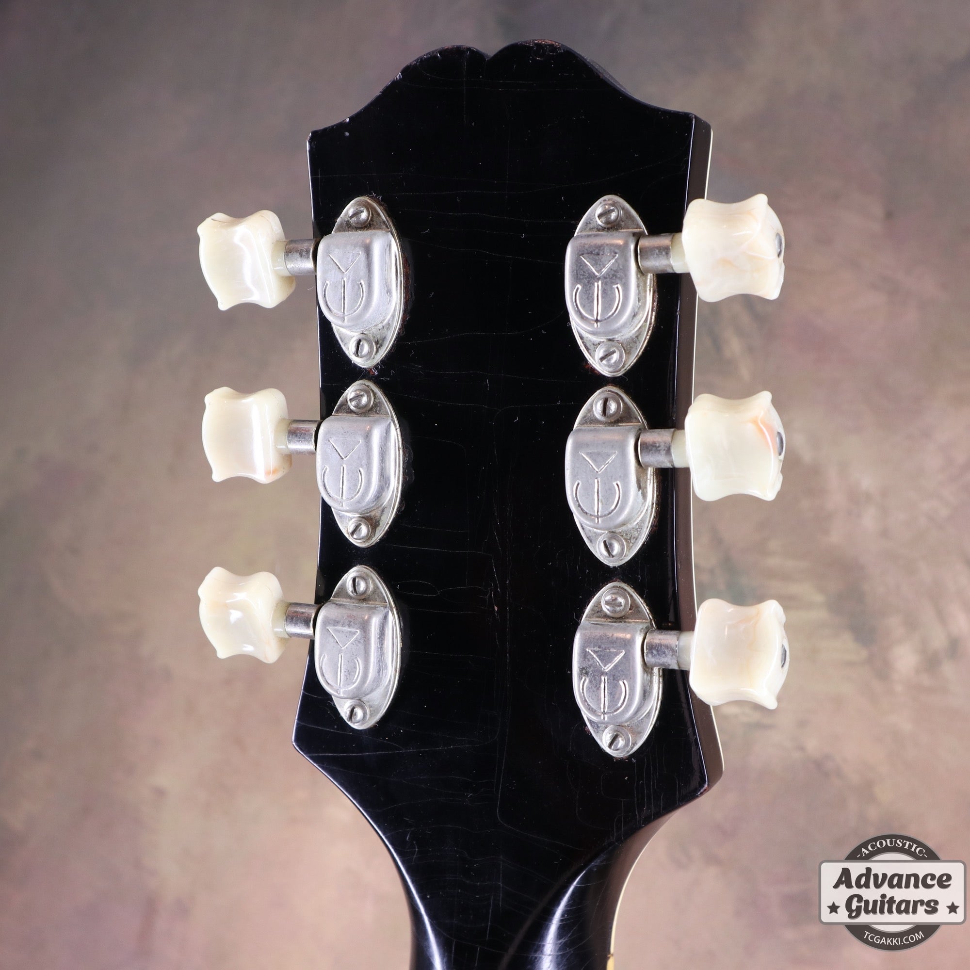 1951年製 Triumph - TC楽器 - TCGAKKI