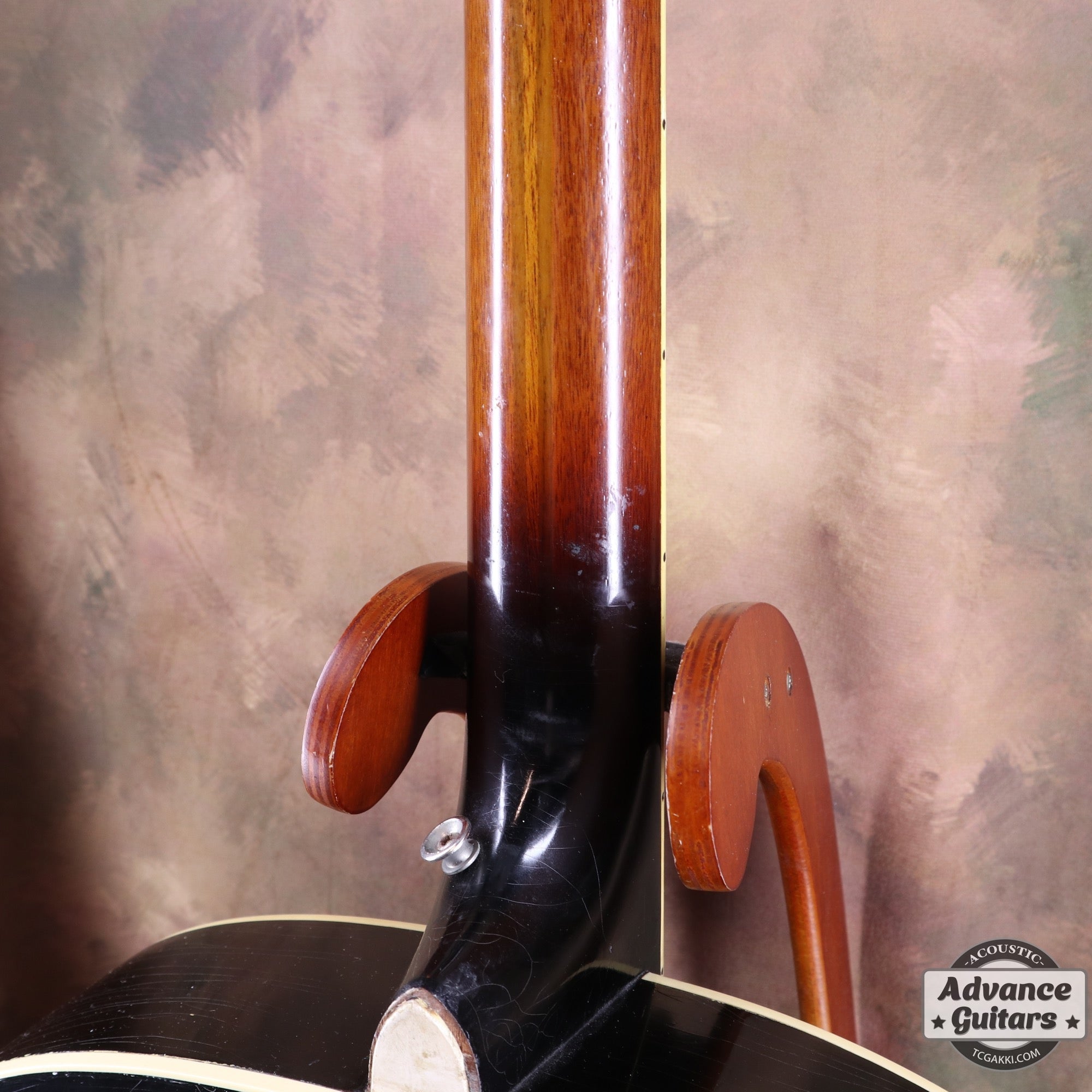 1951年製 Triumph - TC楽器 - TCGAKKI