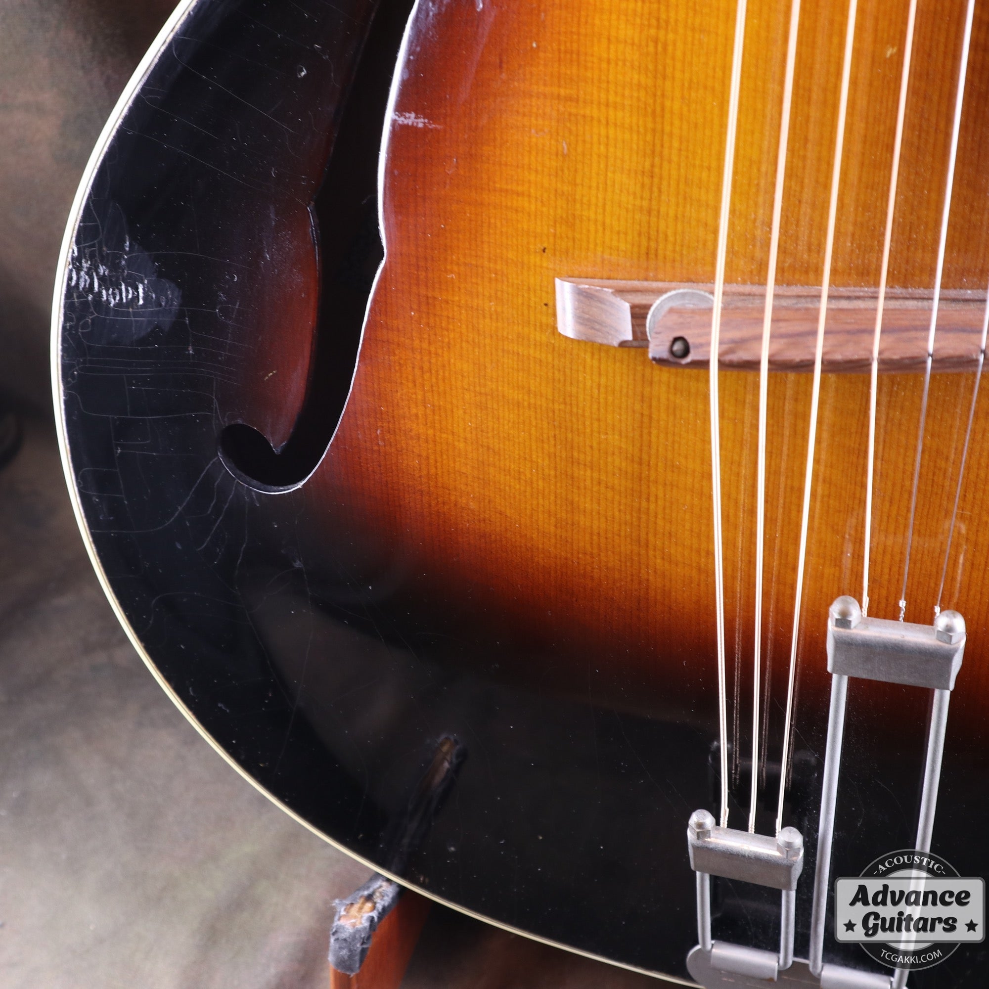 1951年製 Triumph - TC楽器 - TCGAKKI