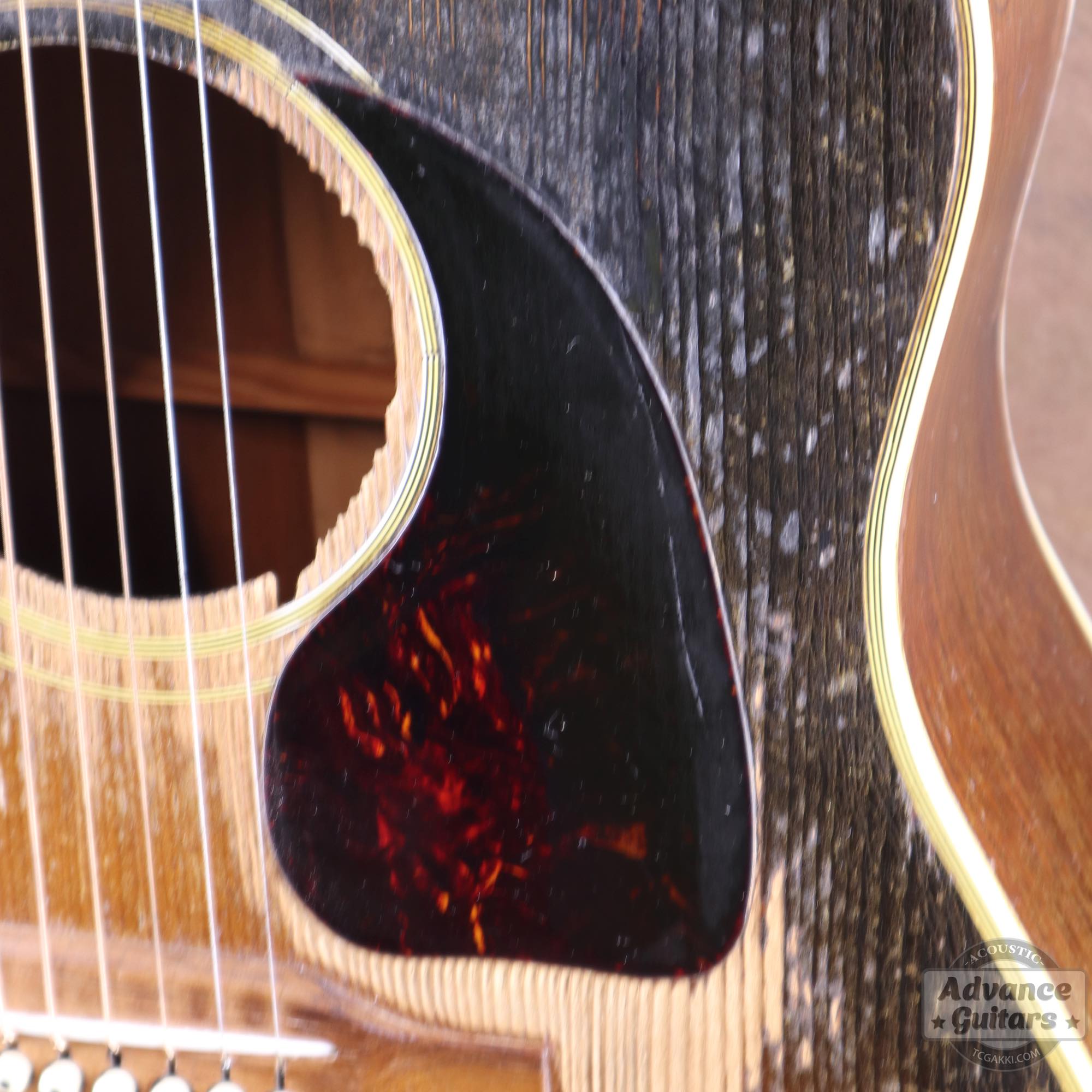 1953年製 Southern Jumbo - TC楽器 - TCGAKKI