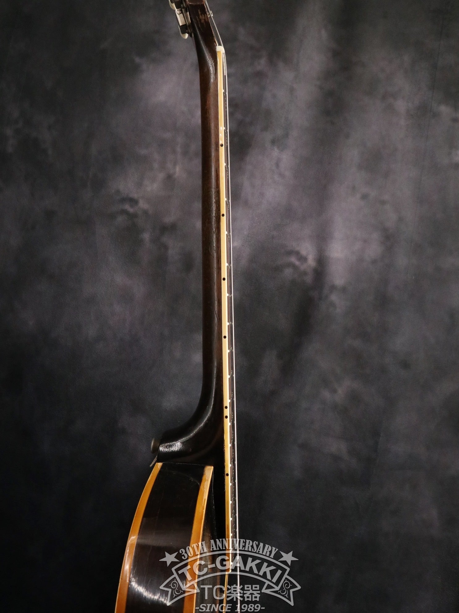 1955 ES - 225T - TC楽器 - TCGAKKI