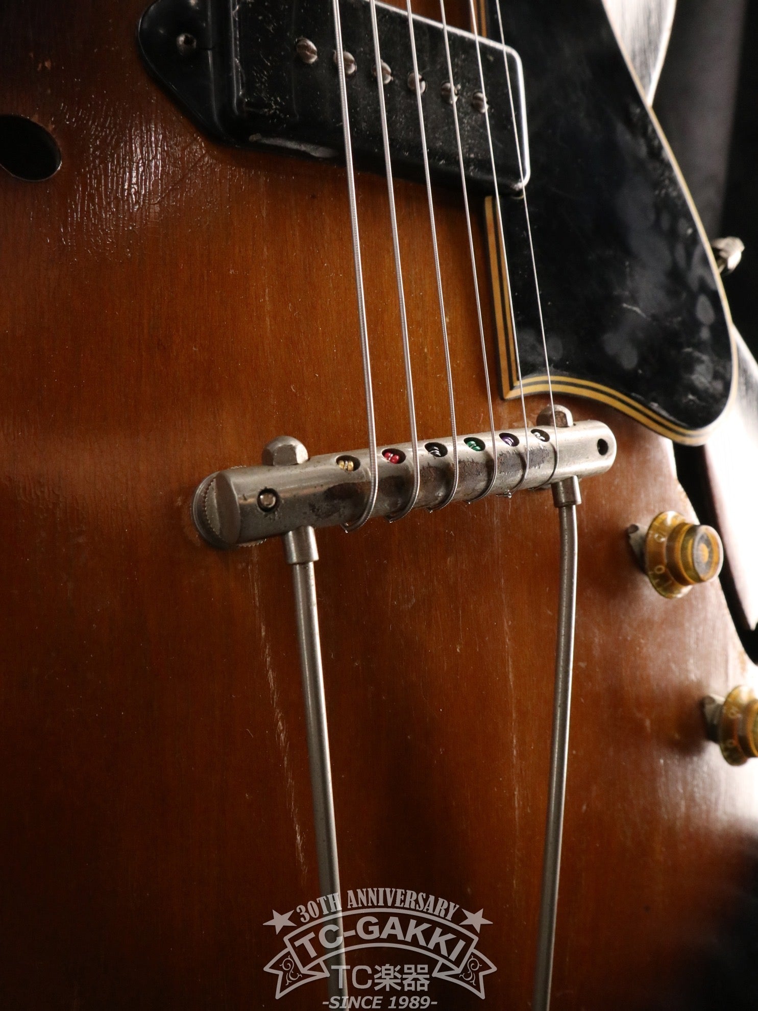 1955 ES - 225T - TC楽器 - TCGAKKI