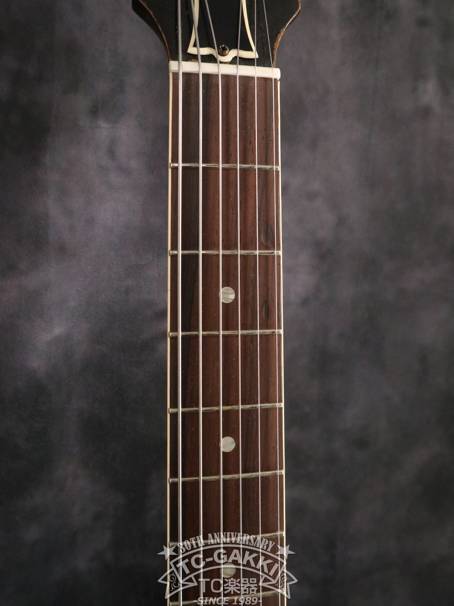 1955 ES - 225T - TC楽器 - TCGAKKI