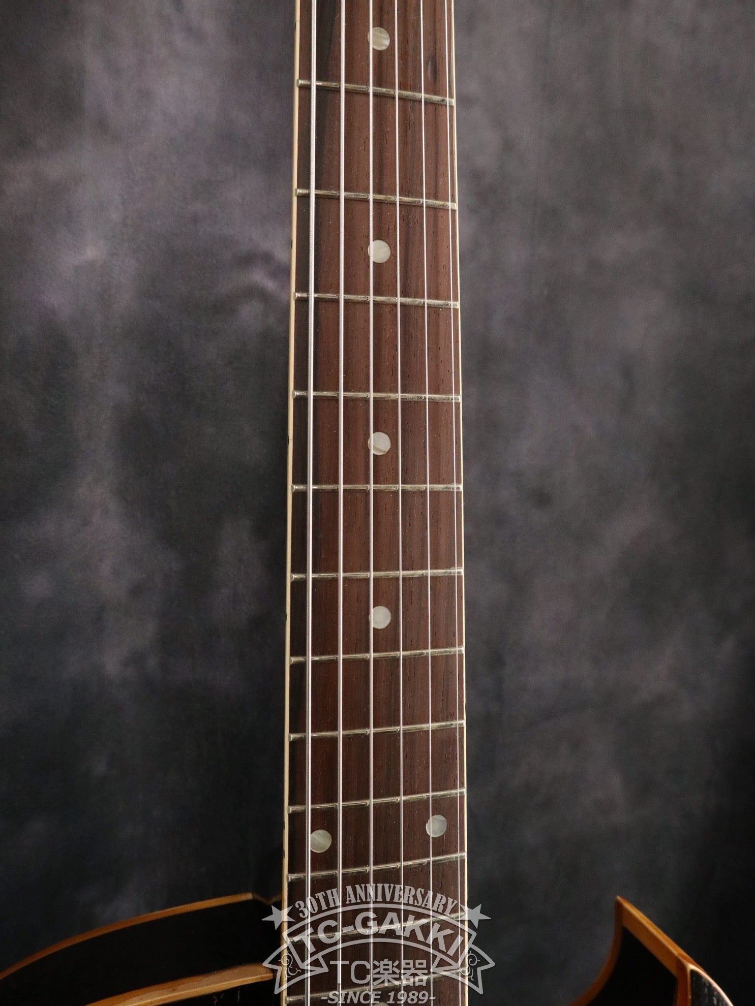 1955 ES - 225T - TC楽器 - TCGAKKI