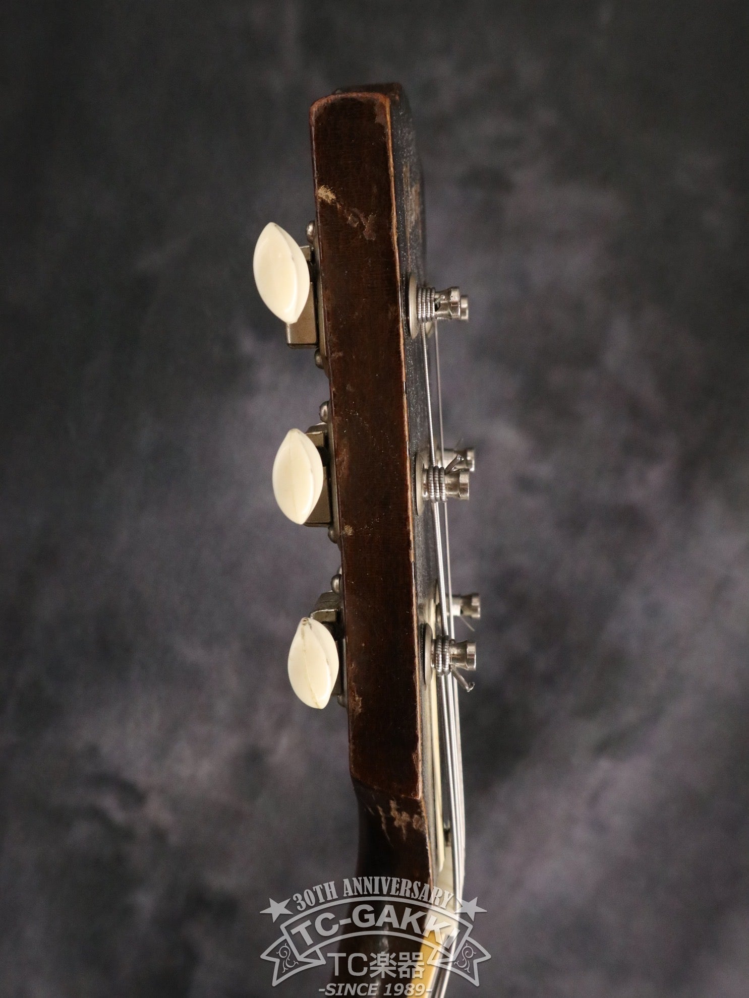 1955 ES - 225T - TC楽器 - TCGAKKI